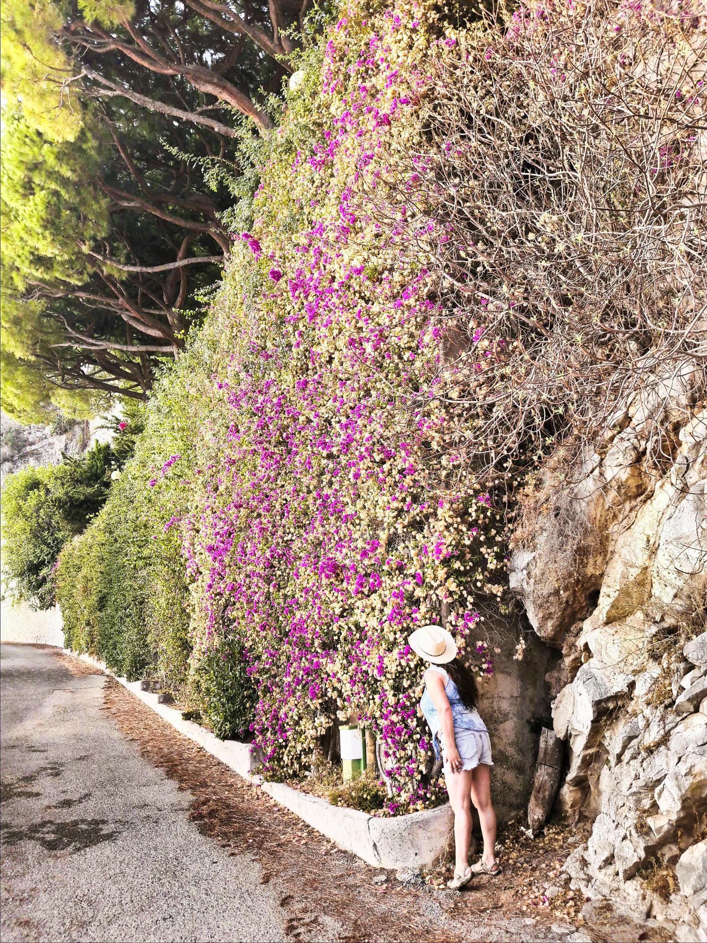 Le mur de fleurs.jpg