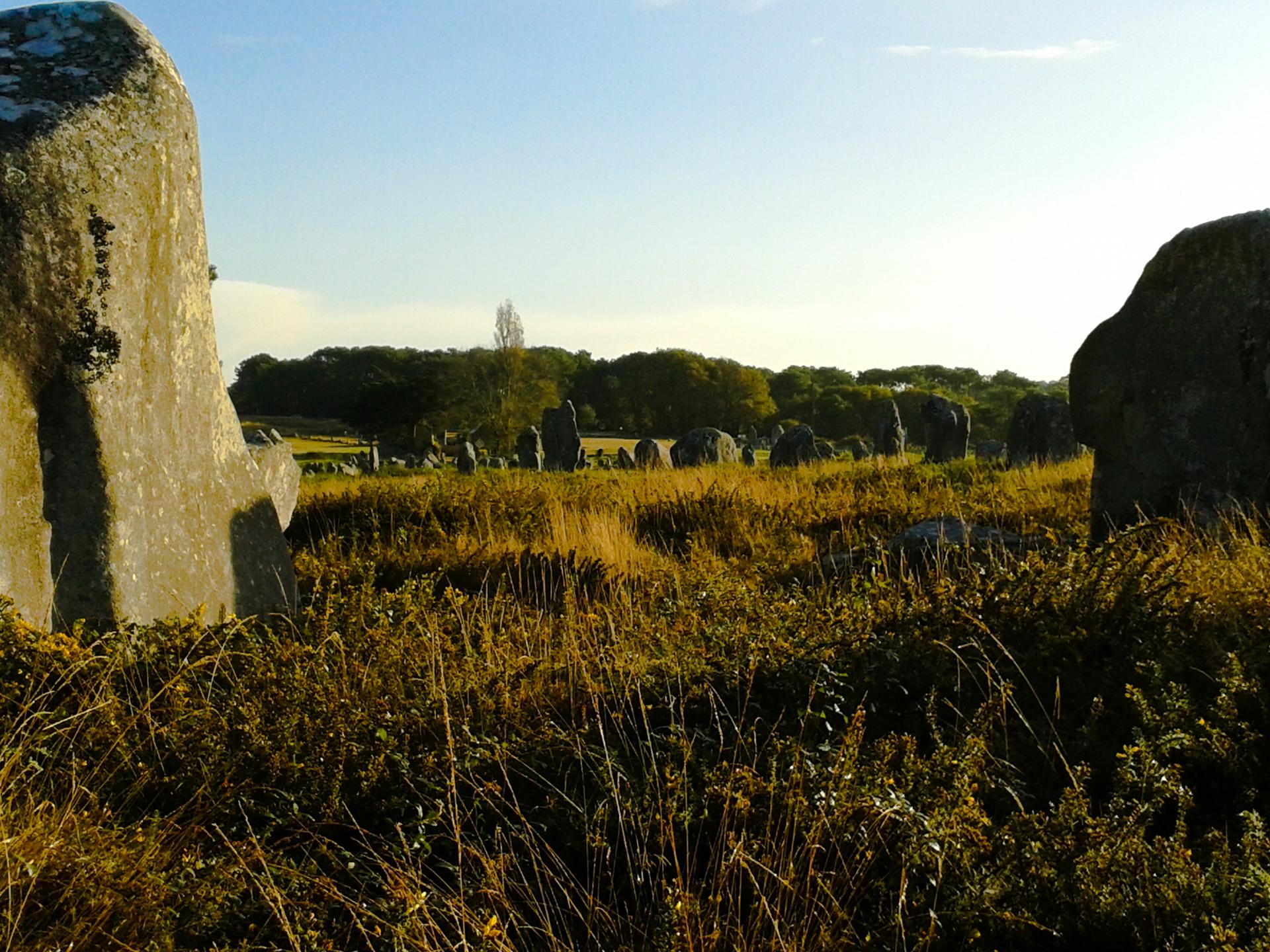 20141105_095126.jpg