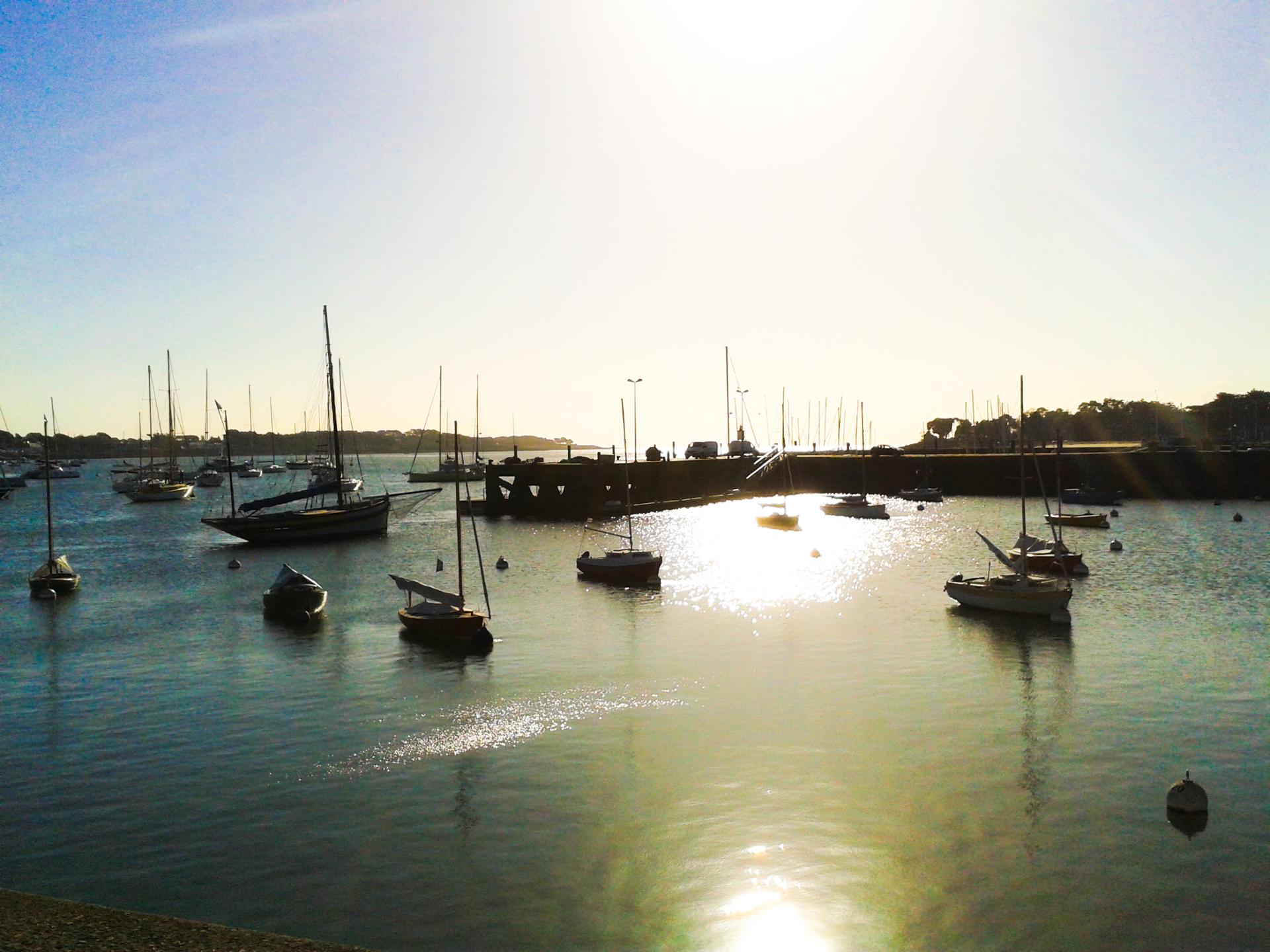 20141105_111446.jpg