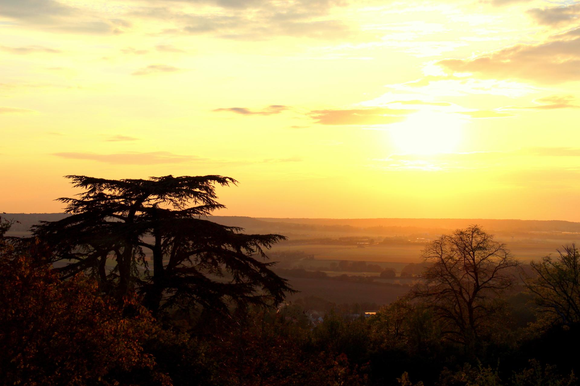 Paysage de Neauphle le chateau.jpg