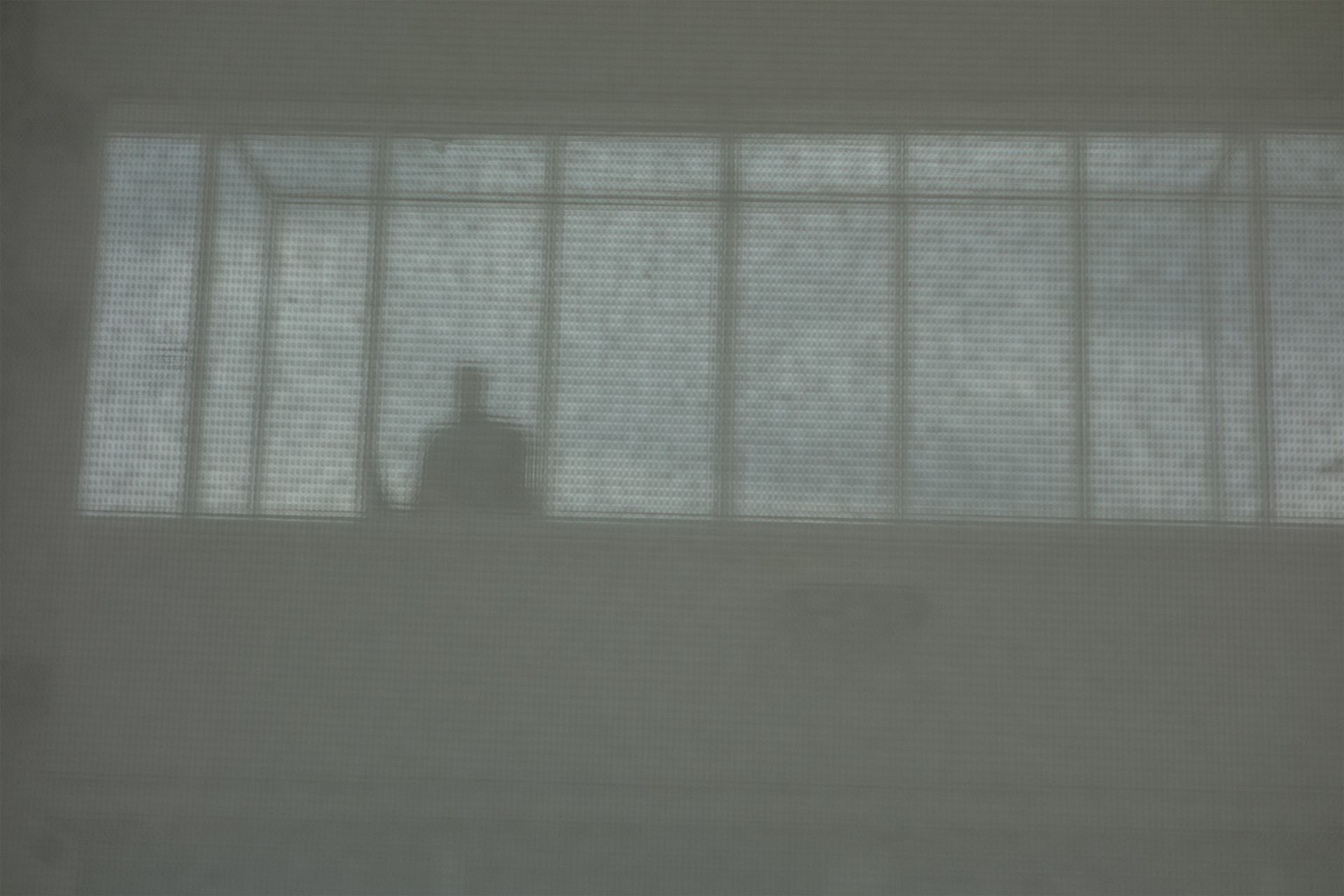 Surveillance