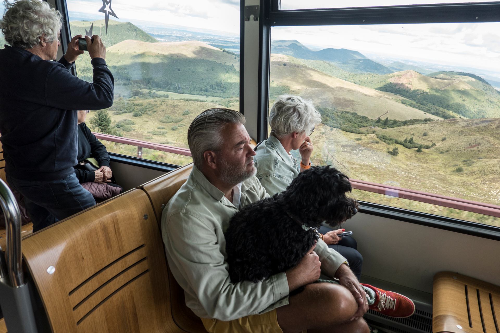 Chien touriste