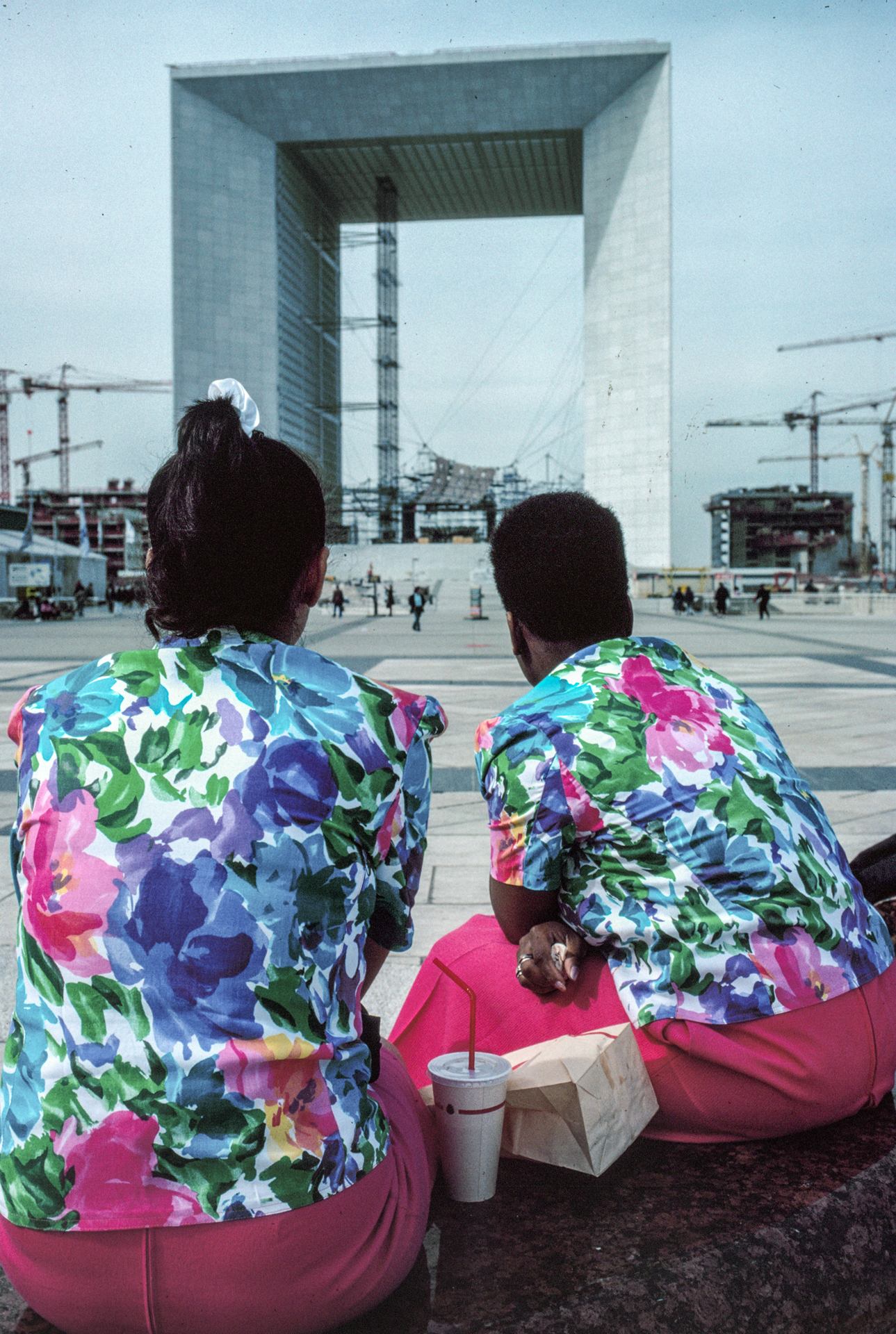 Deux fleurs sur le béton