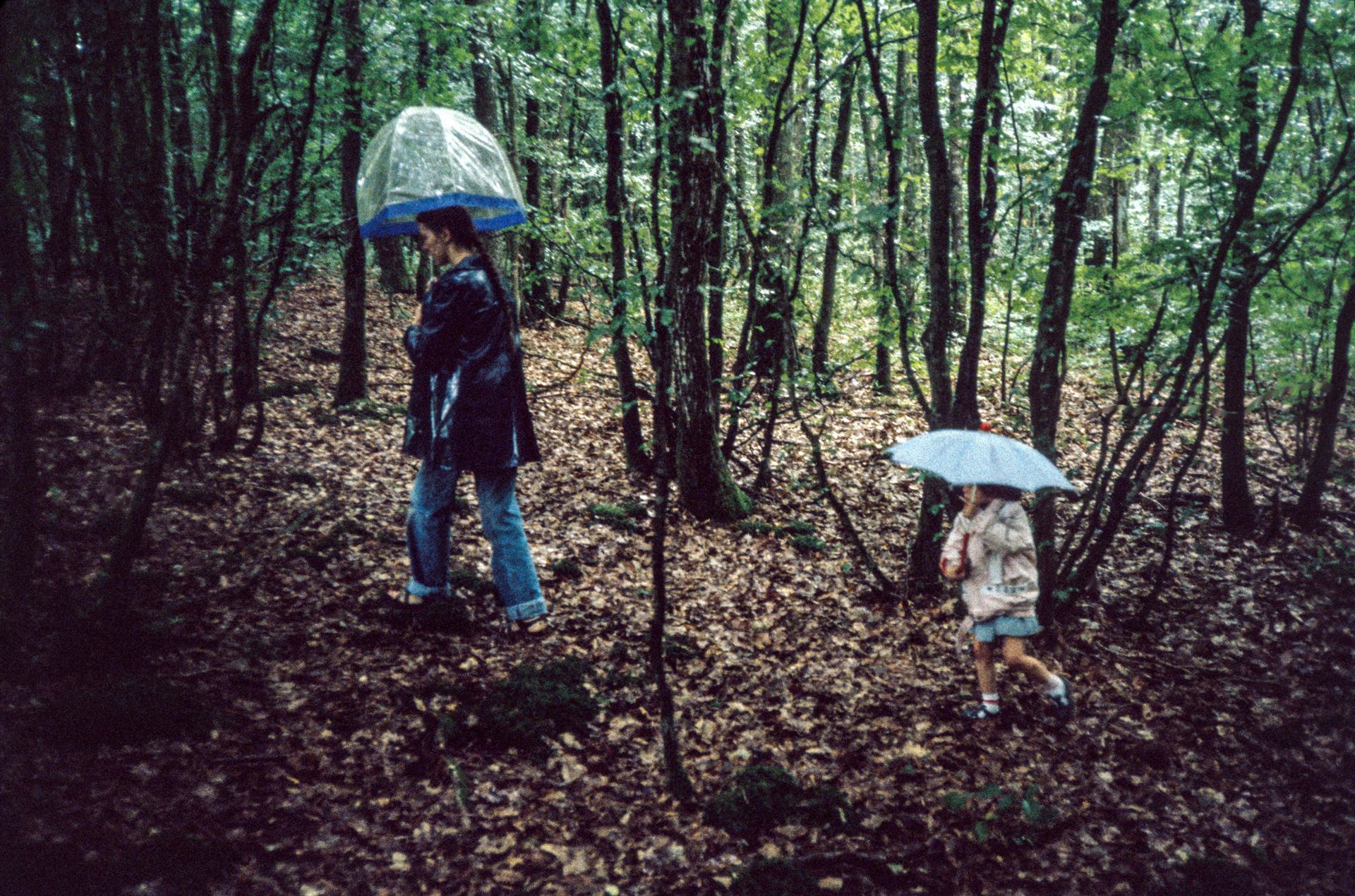 Parapluies champignons