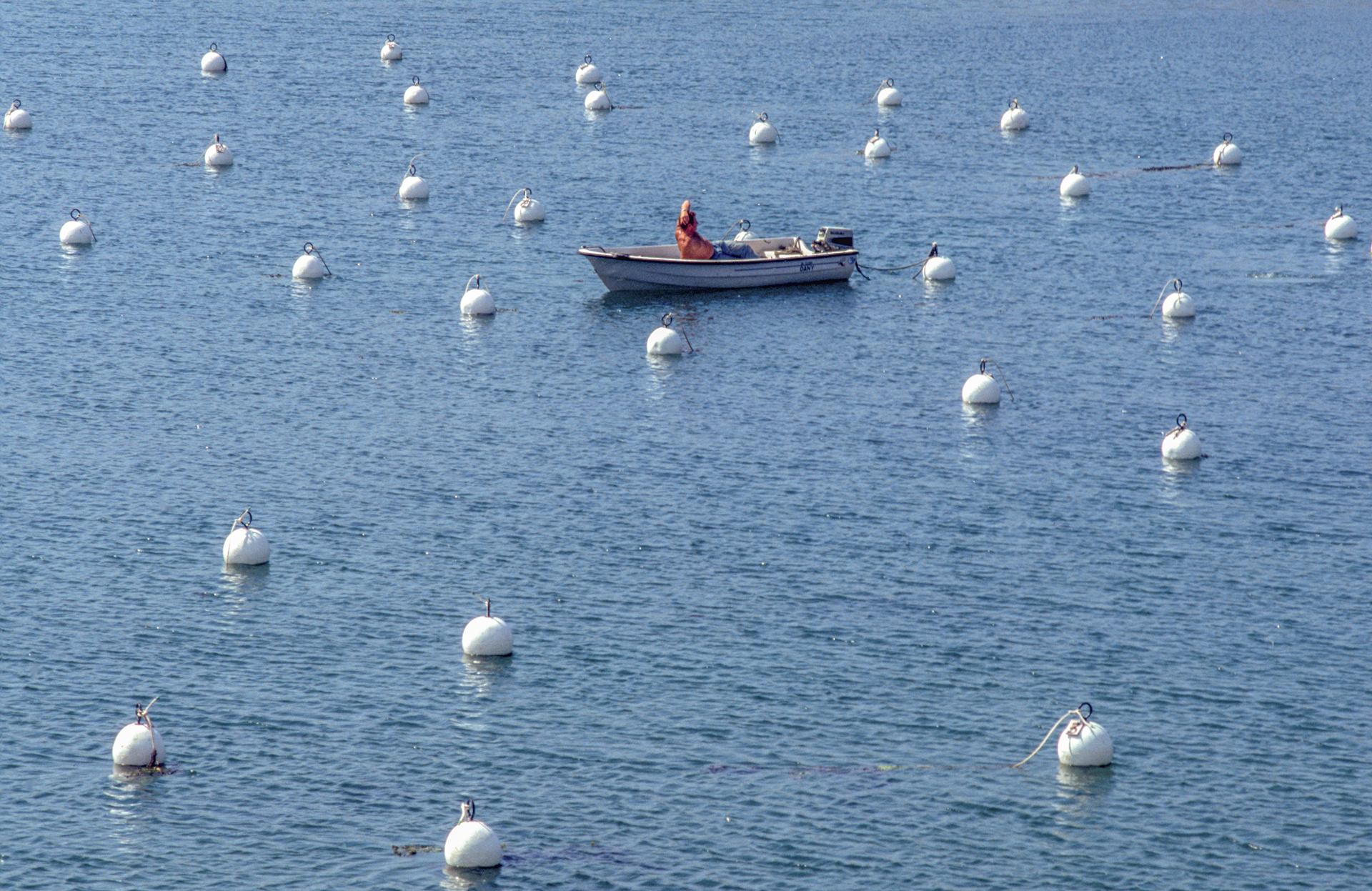 Bouées tombées du ciel