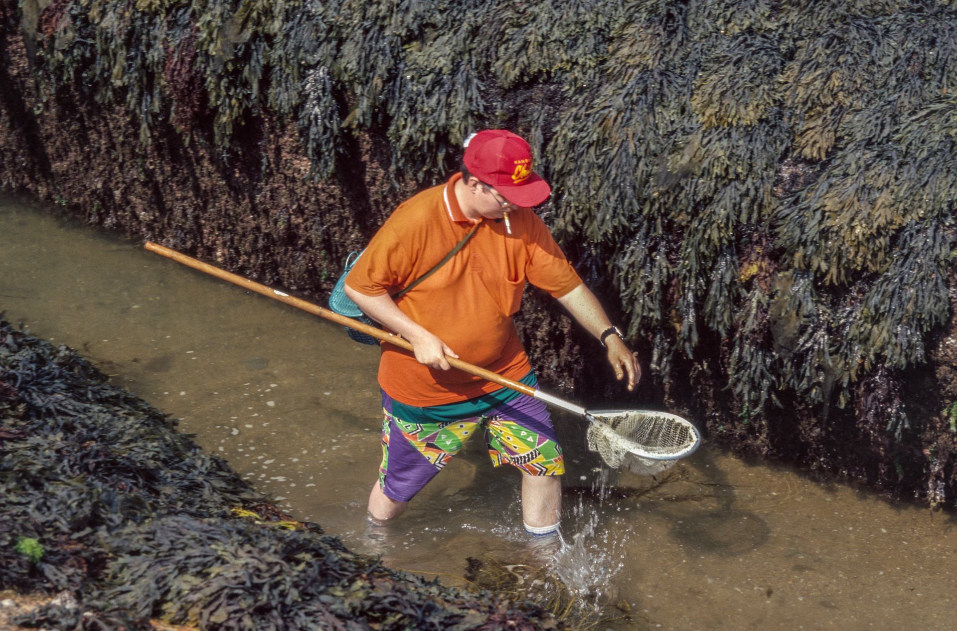 La pêche aux crevettes