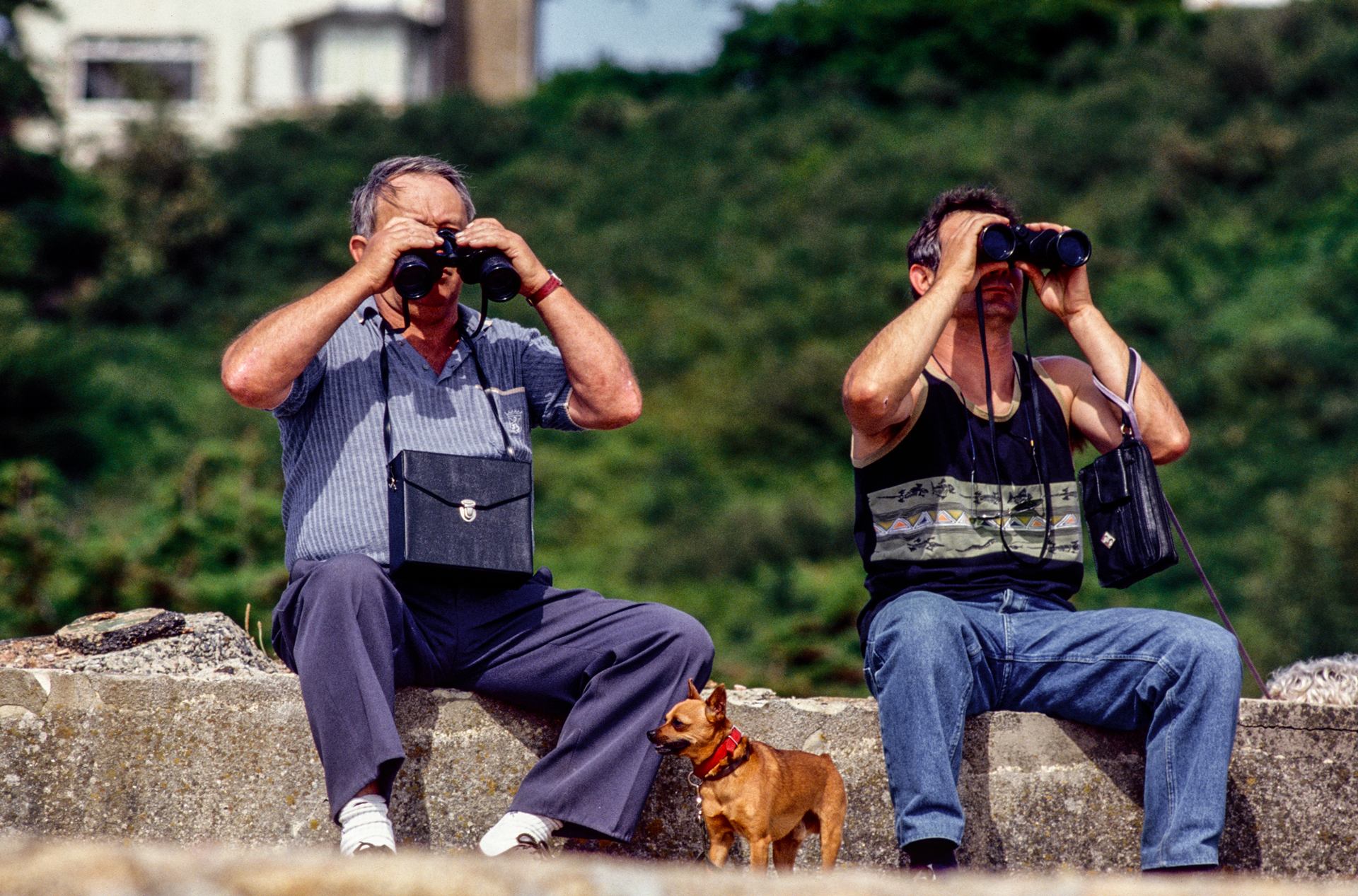 Quatre yeux pour 2 paires de jumelles
