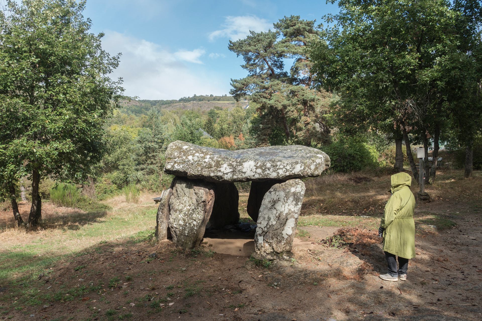 La Dame à la capuche verte