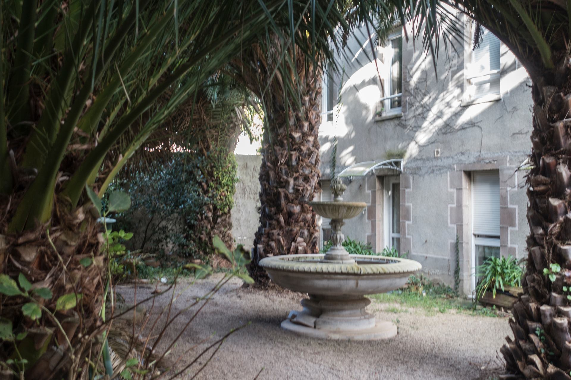 A l'ombre des palmiers