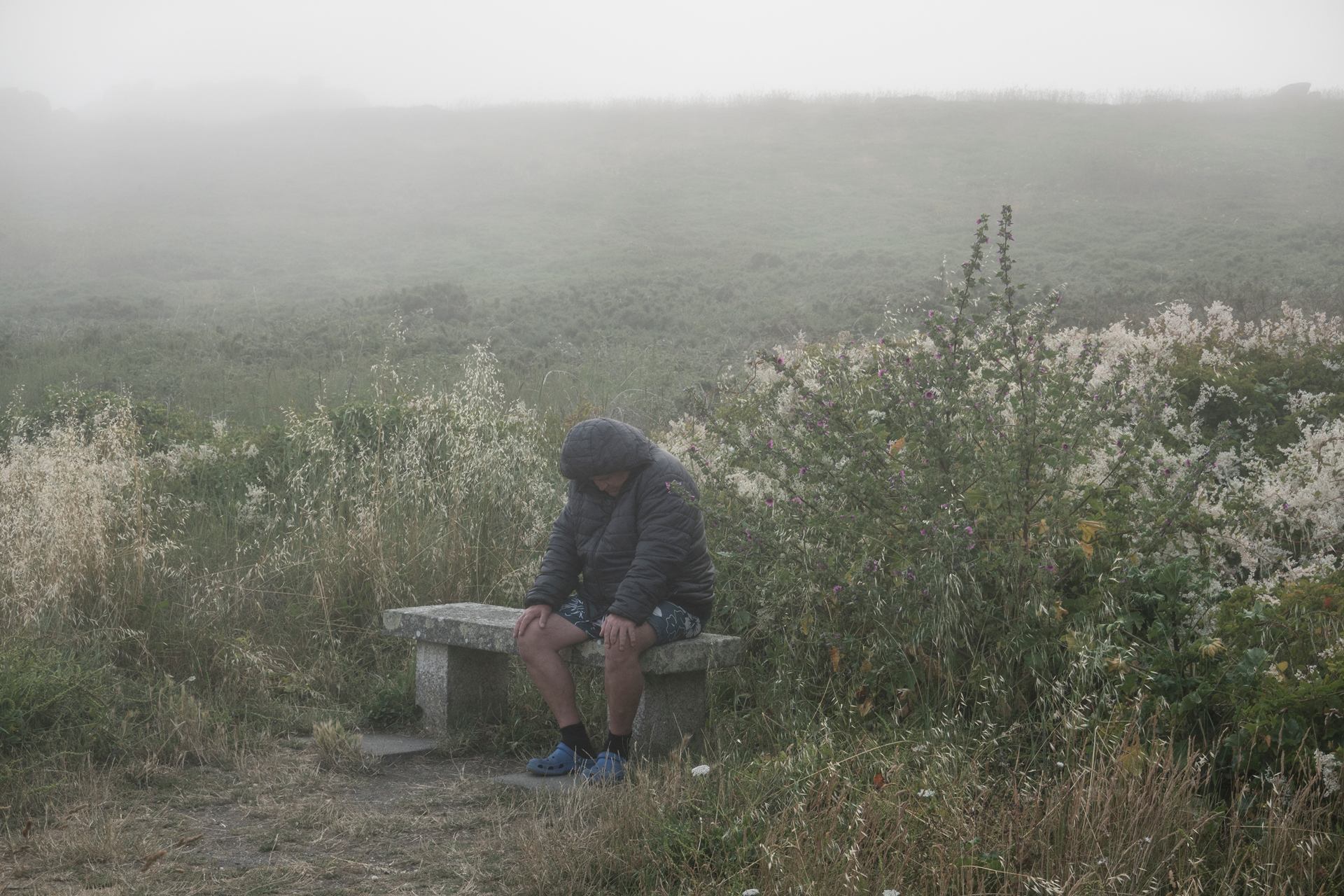 Pensées dans la brume