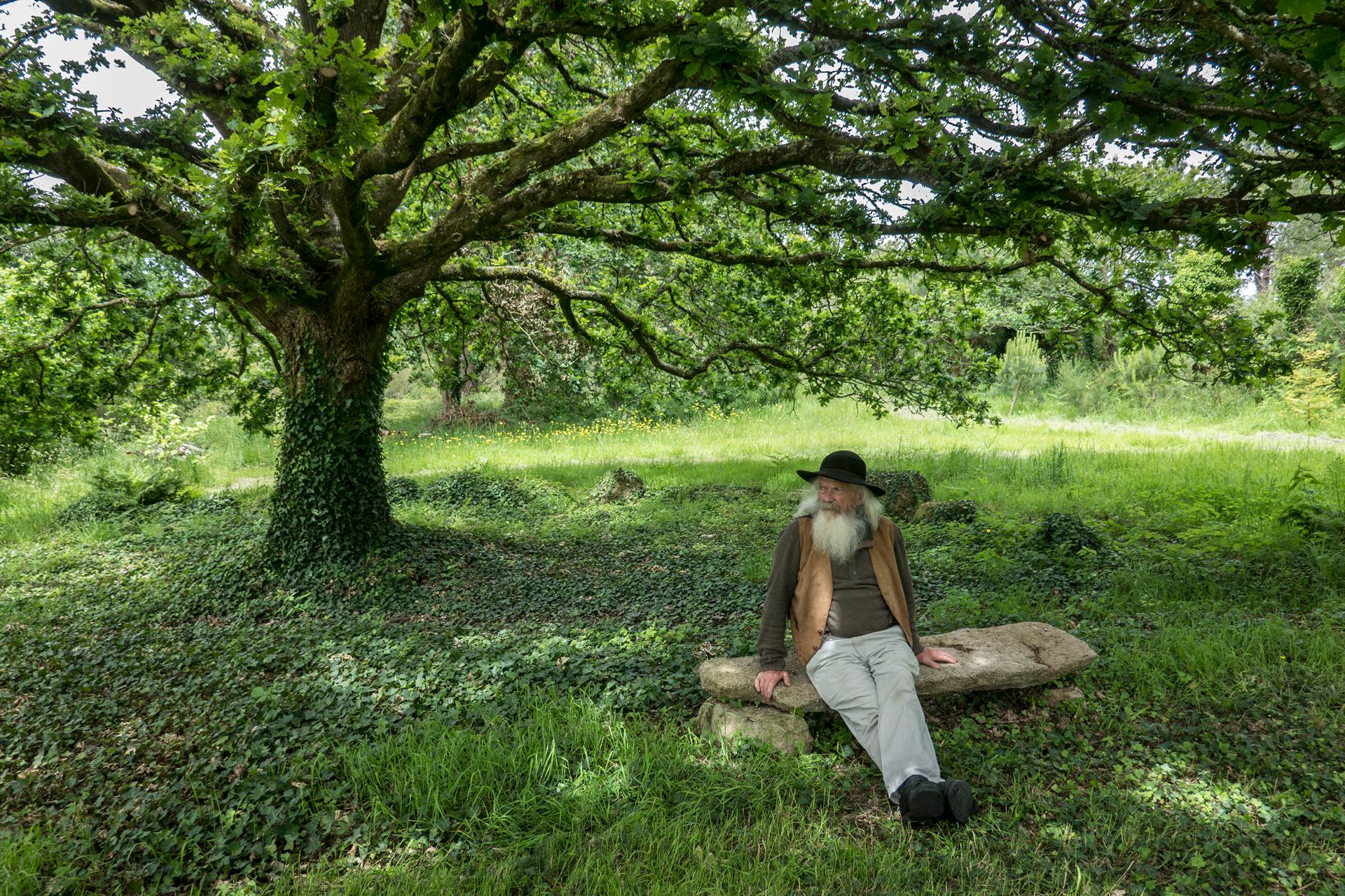 Irlandais sous un arbre breton
