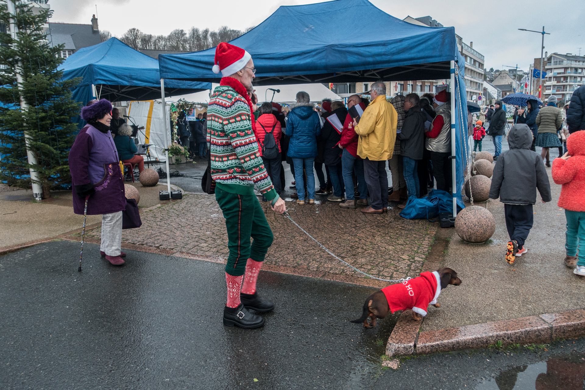 Teckel de Noël
