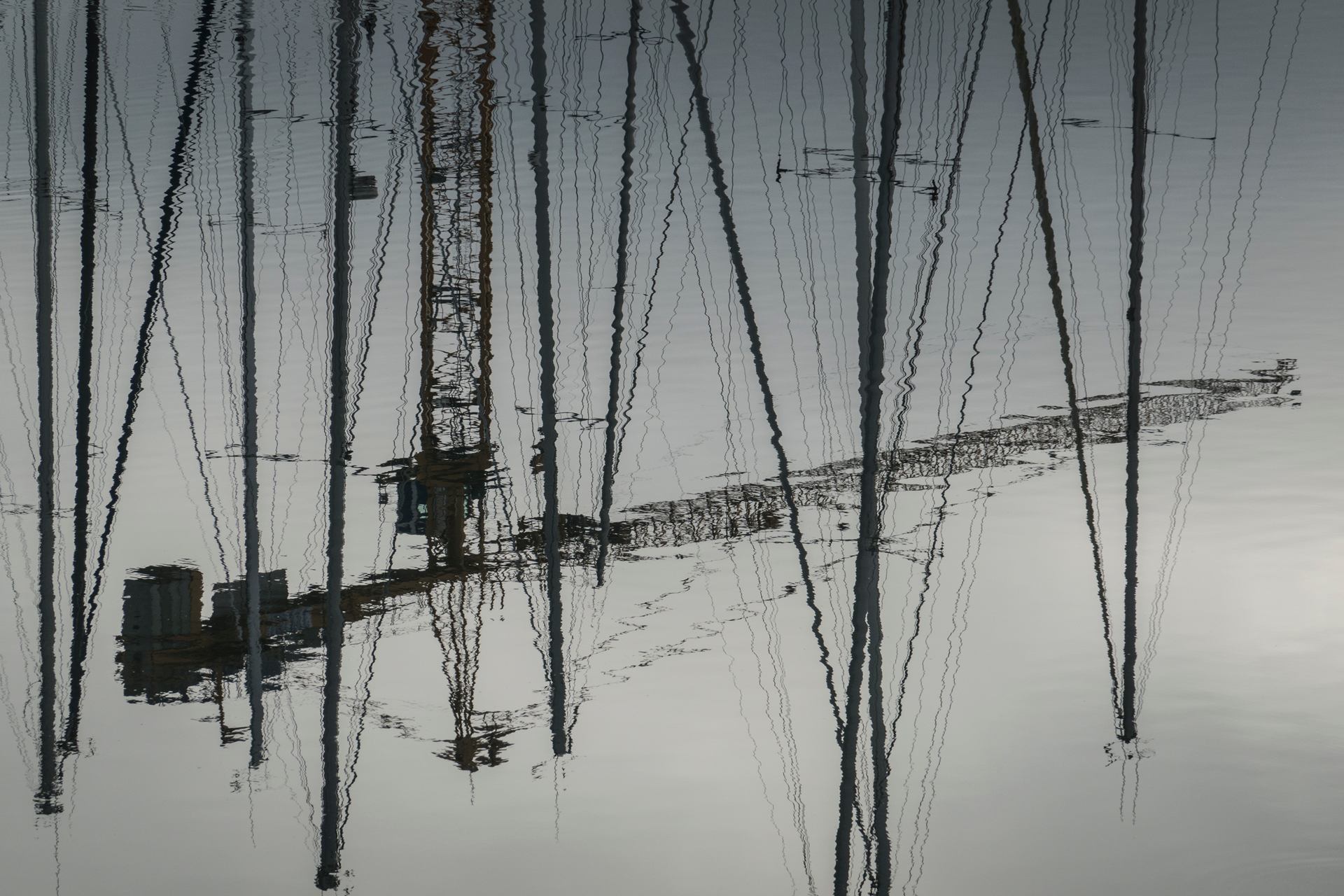 La grue du port