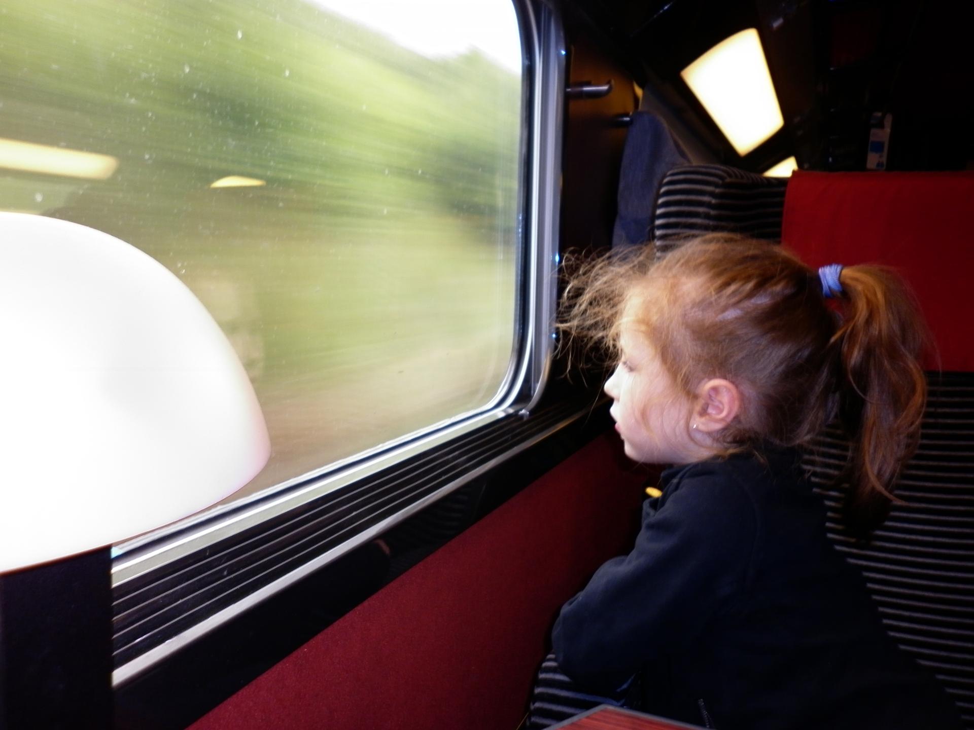 P1000449.JPG