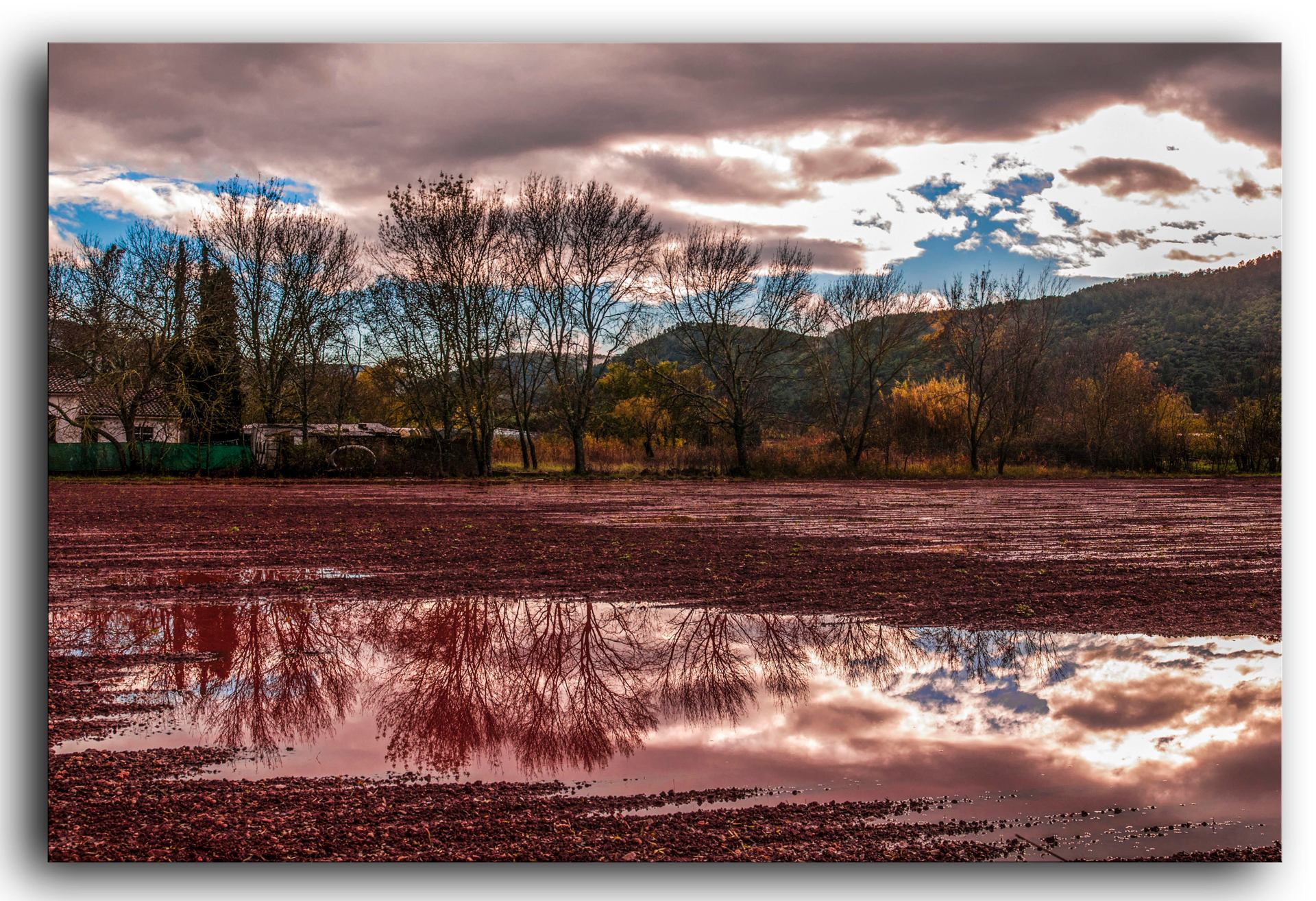 champ inondé fraichement labouré  au Luc en Provence..jpg