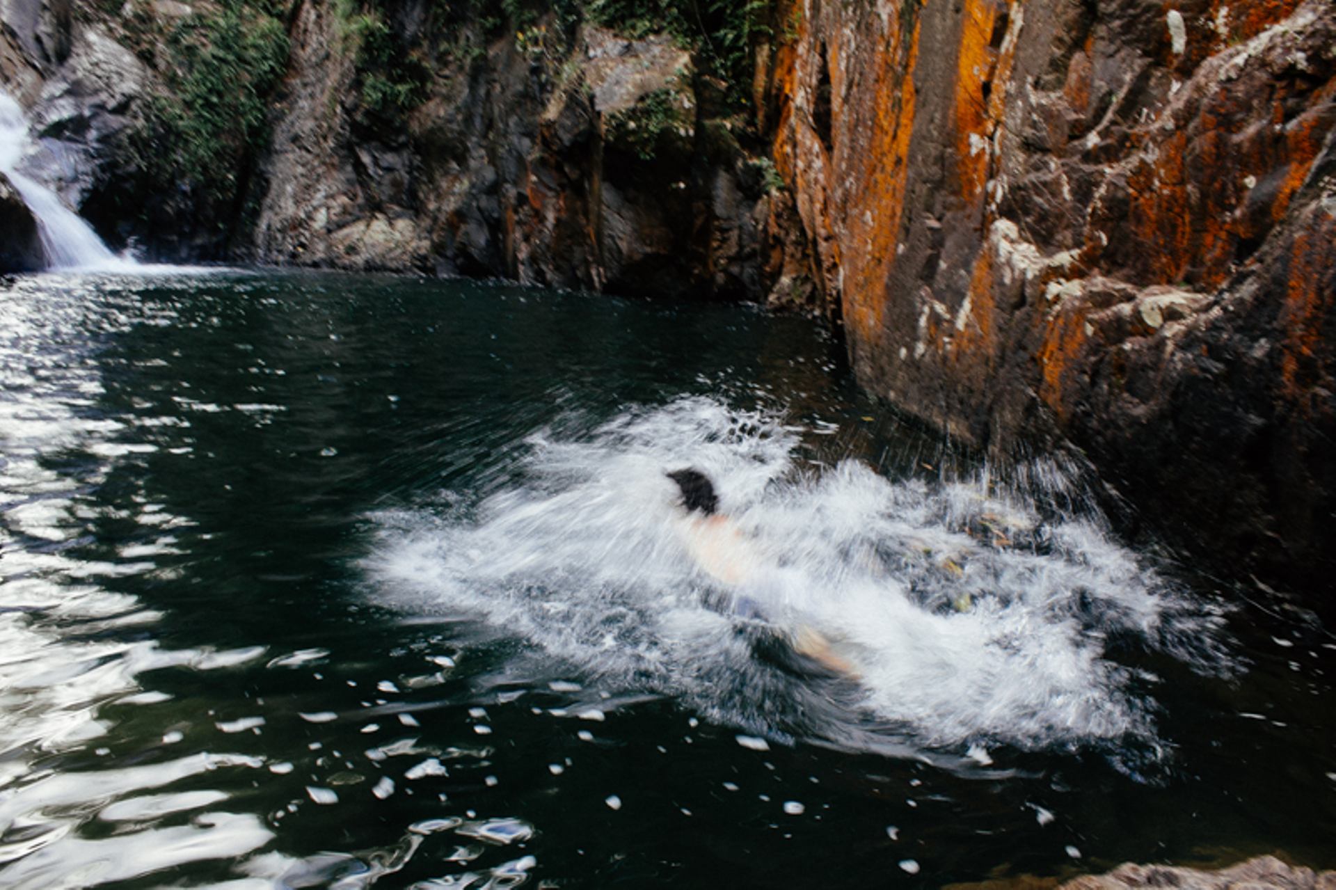 plunge1.jpg