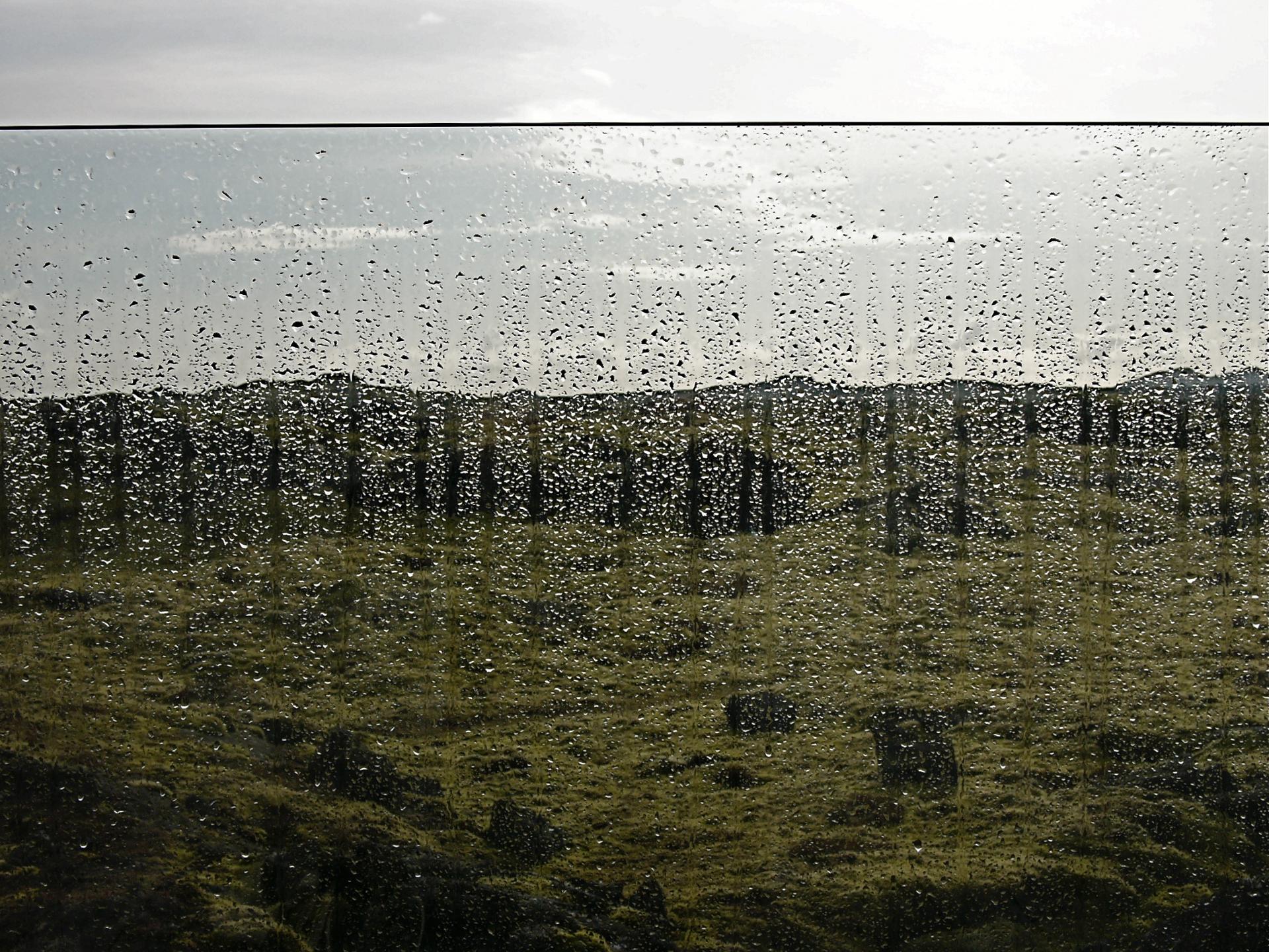 L1050664.jpg