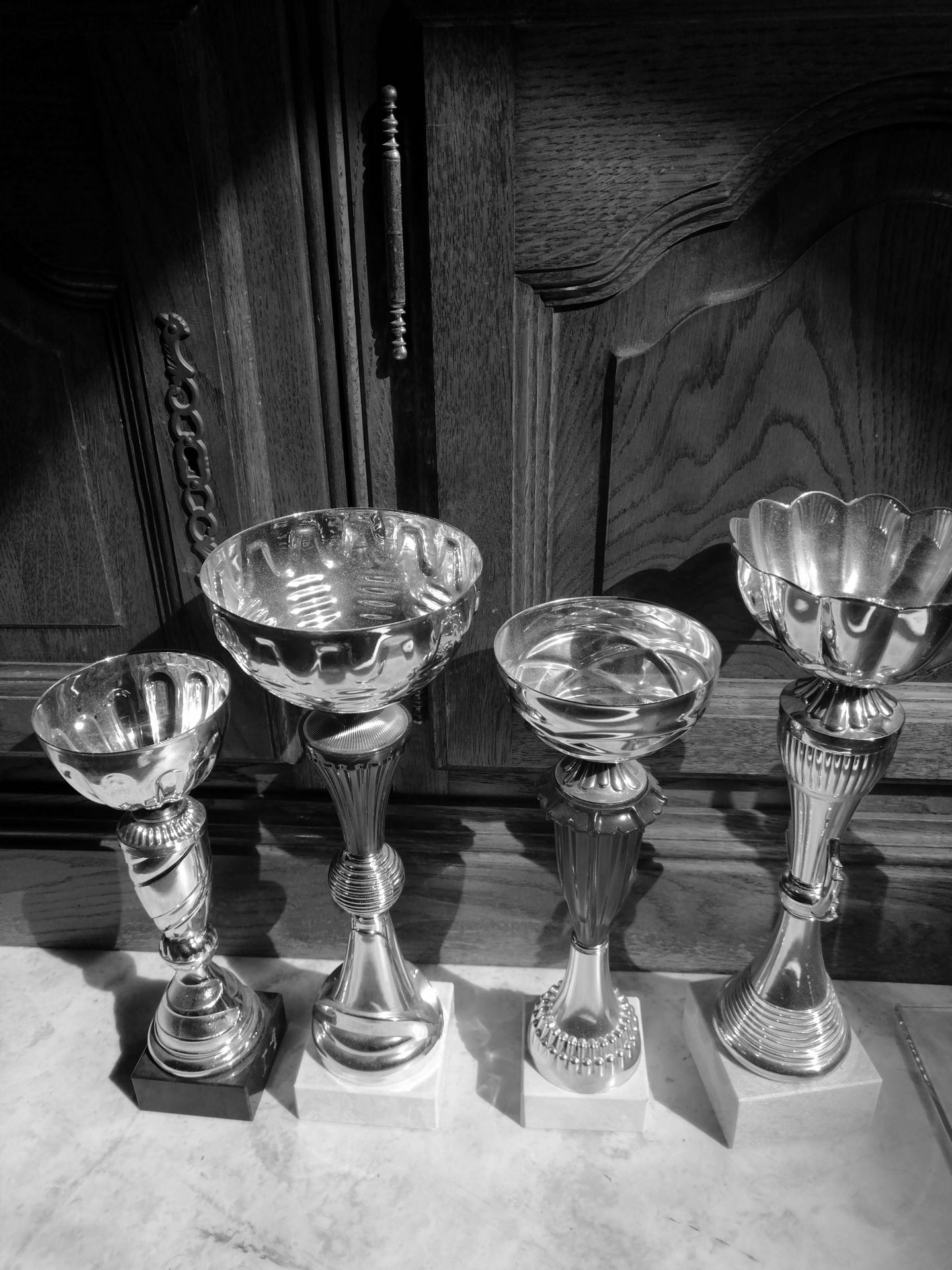 Coupes gagnier à Prémontré 2014