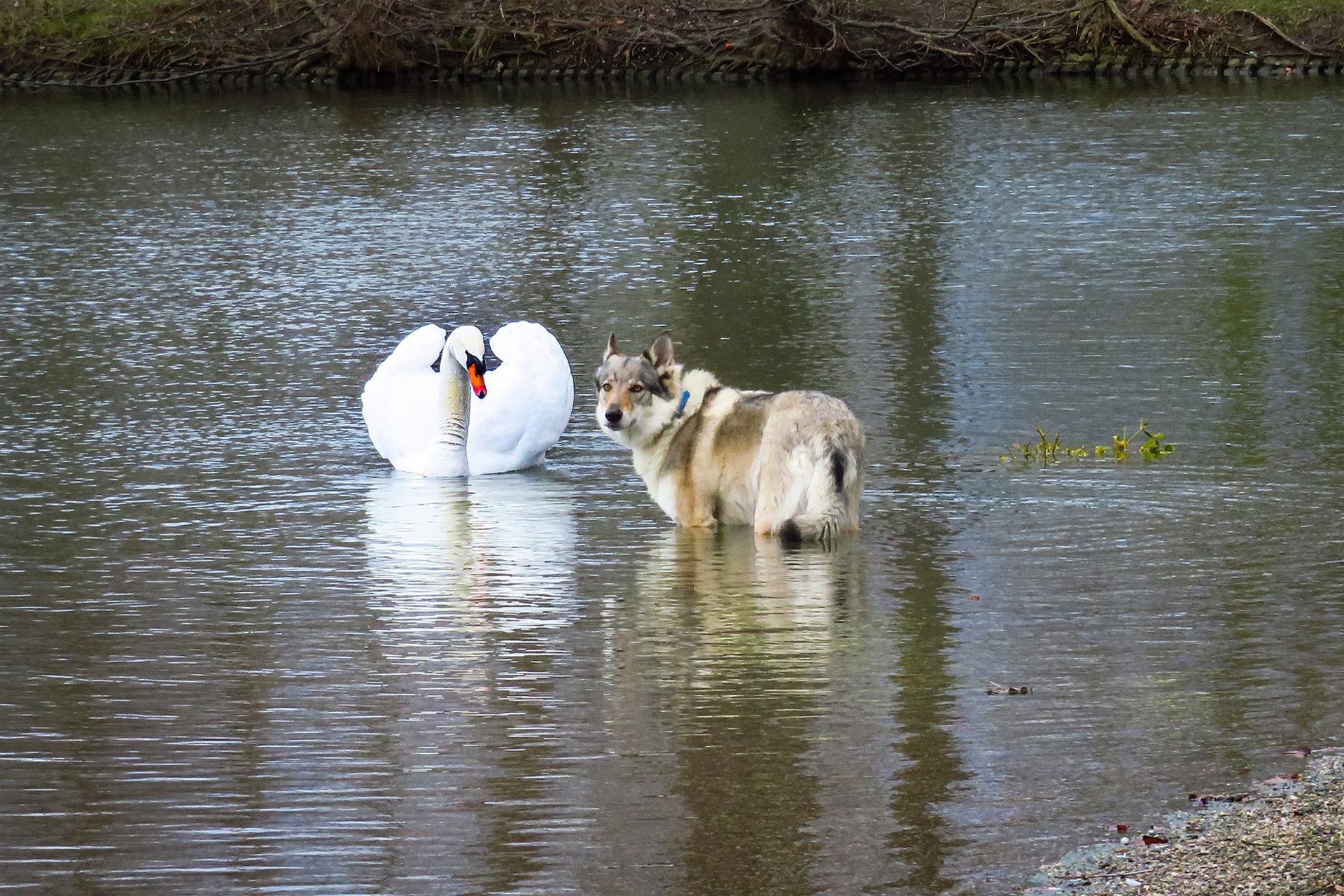 Rencontre