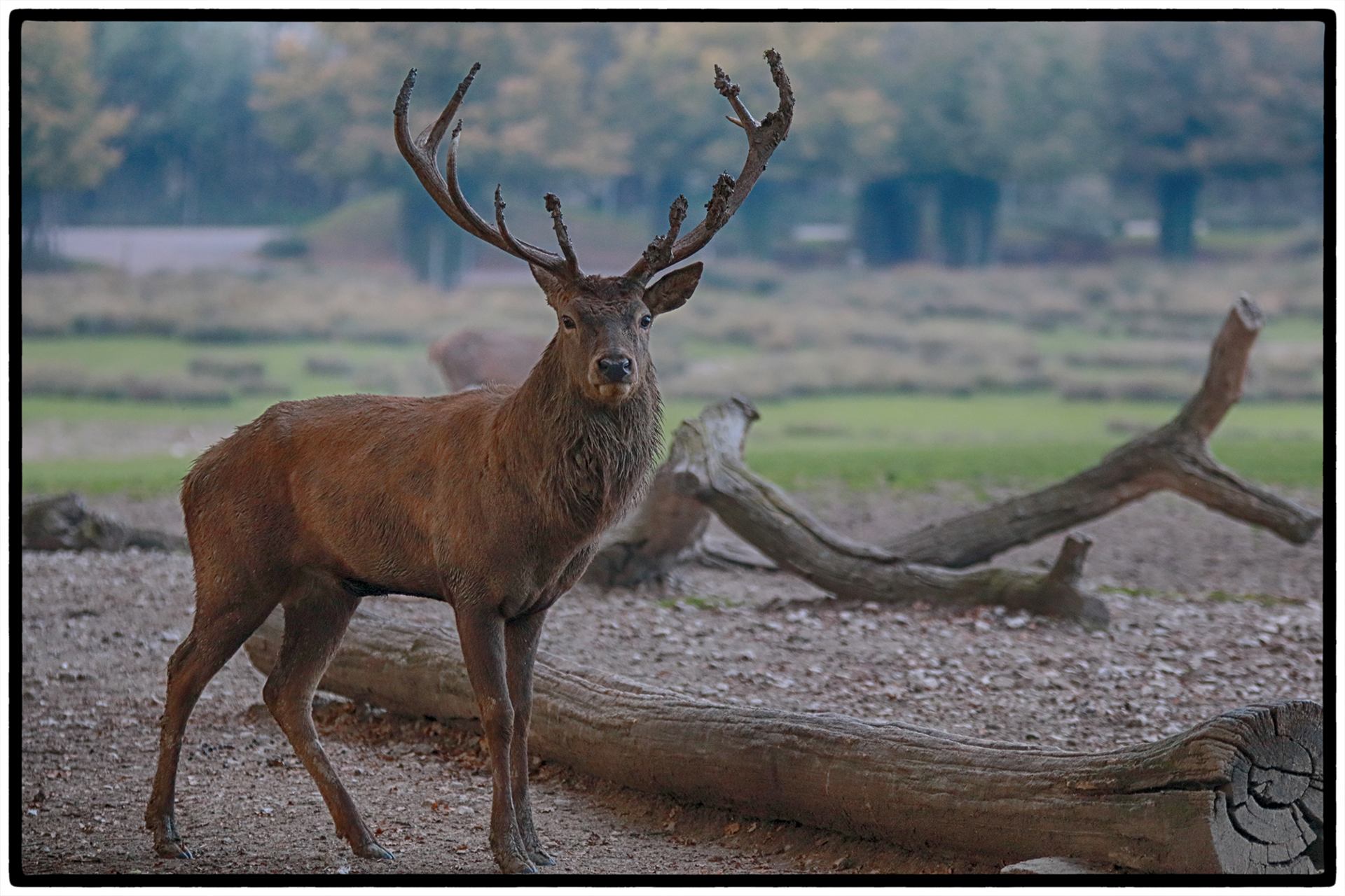 Parc animalie St Croix.jpg