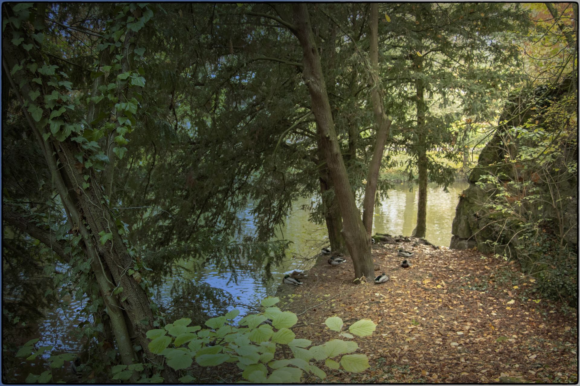 Bautée de la nature