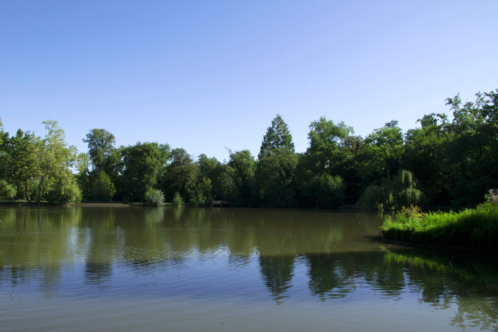 Parc Schulmeister.jpg