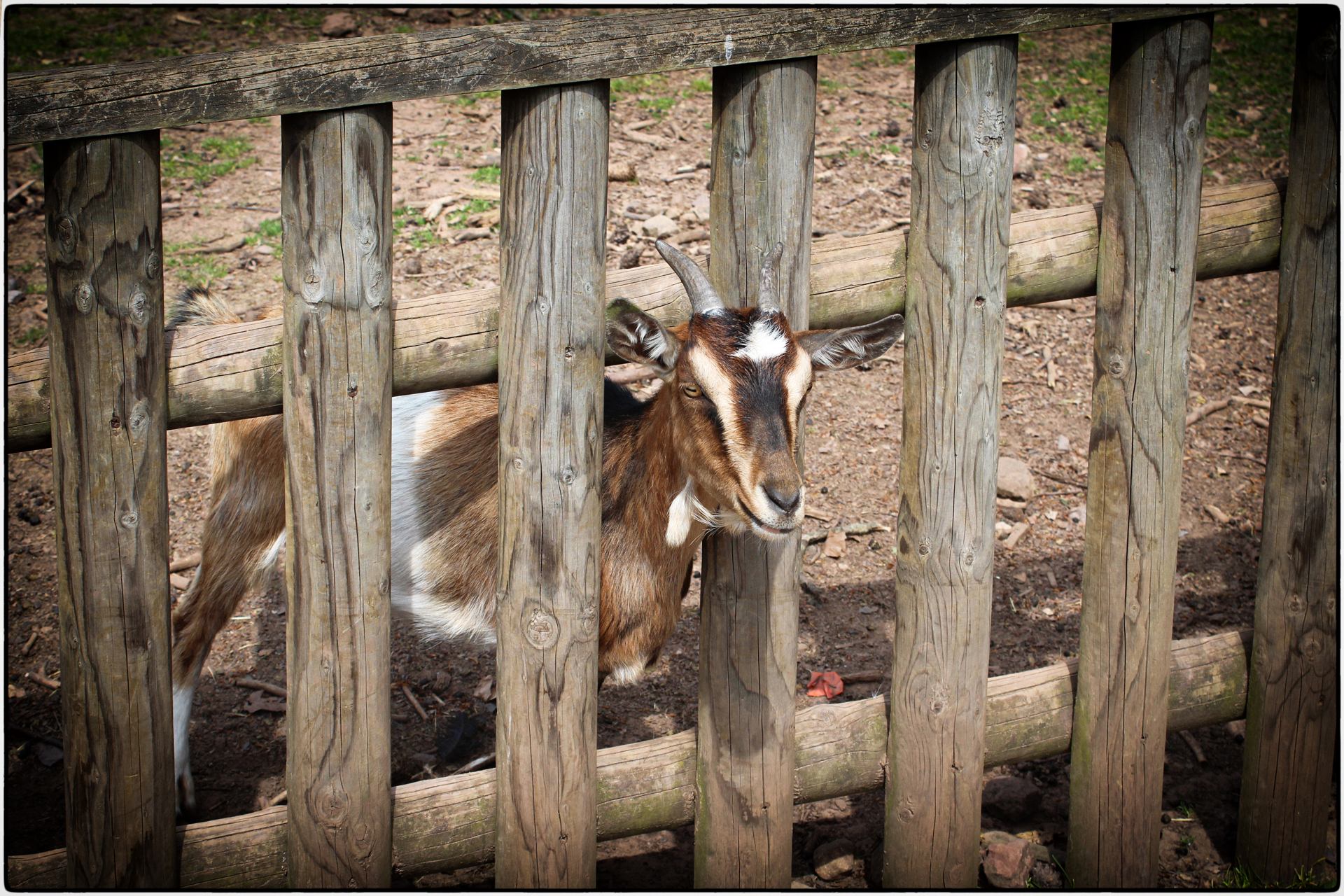 Et maintenent je fais quoi ?
