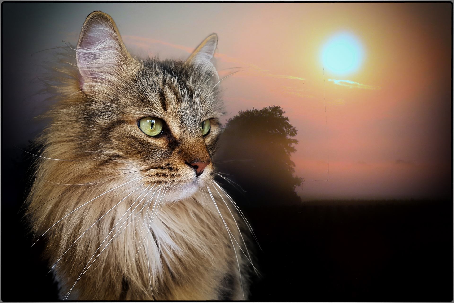 Lever du soleil (2)a.jpg