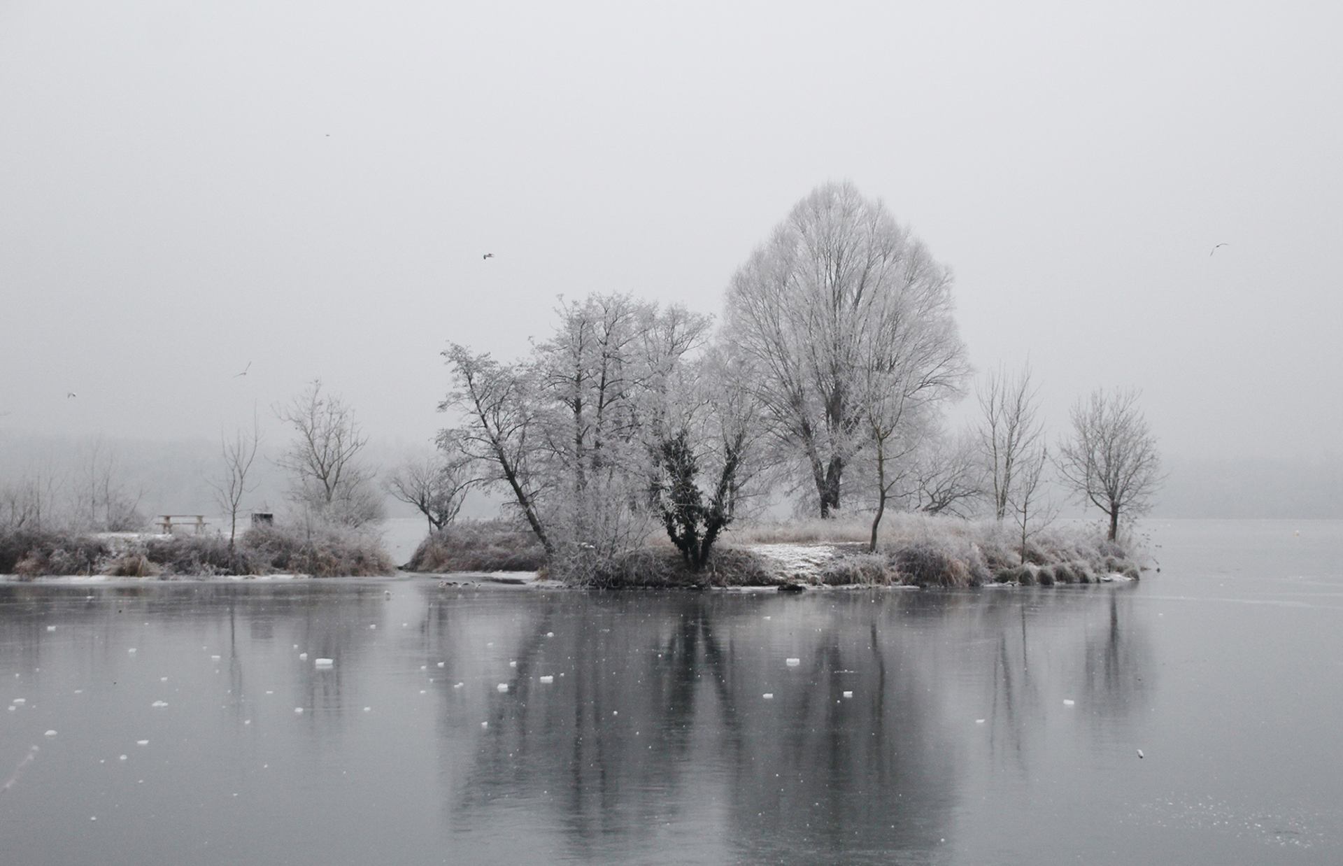 Reflet sur glace.JPG
