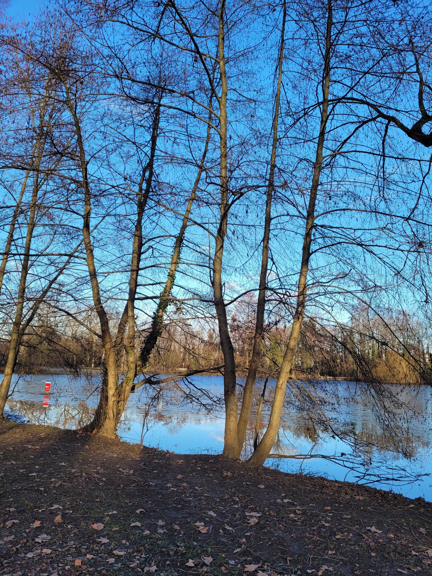 Une belle journée de janvier.jpg