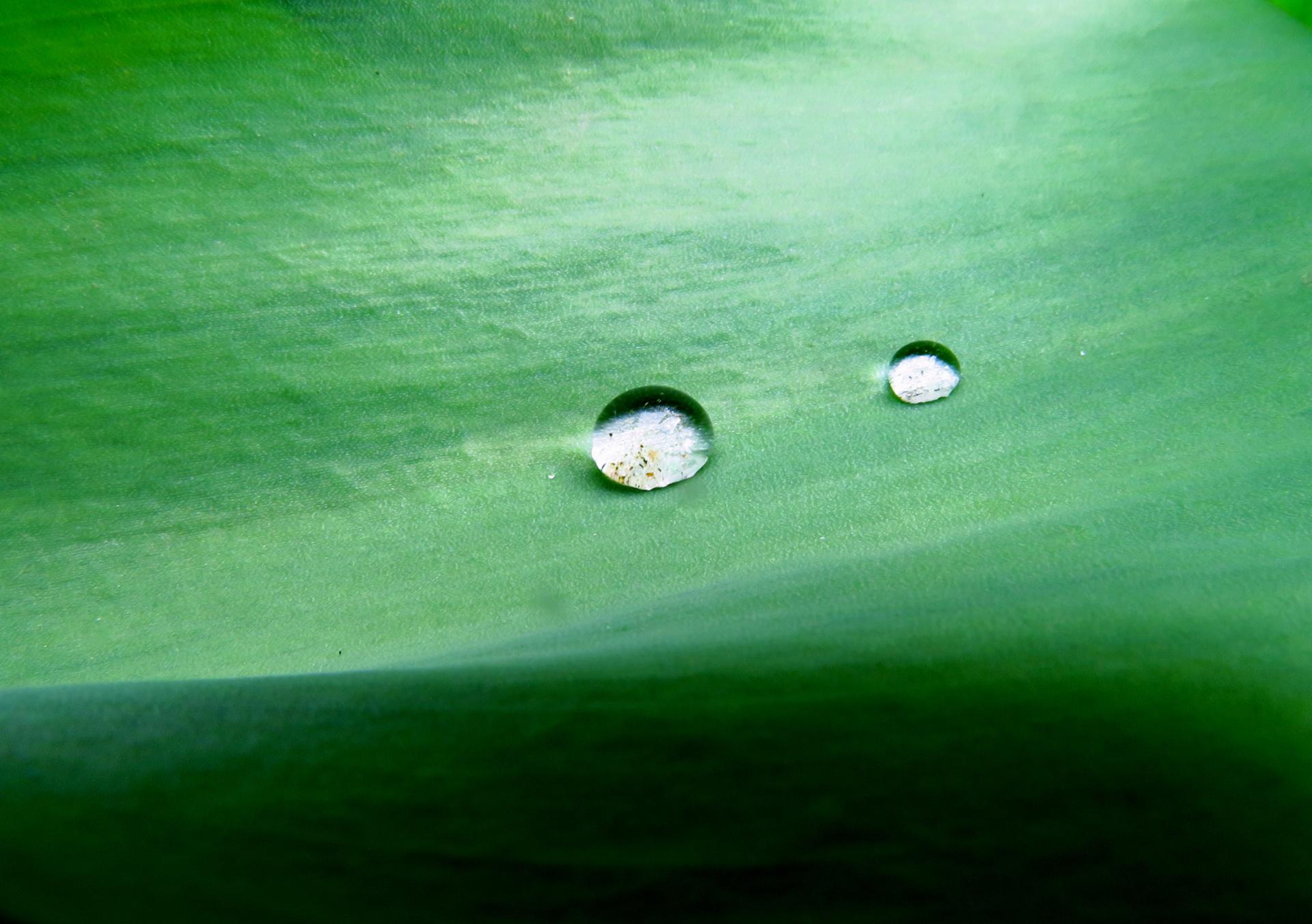 Deux gouttelettes d'eau solitaire