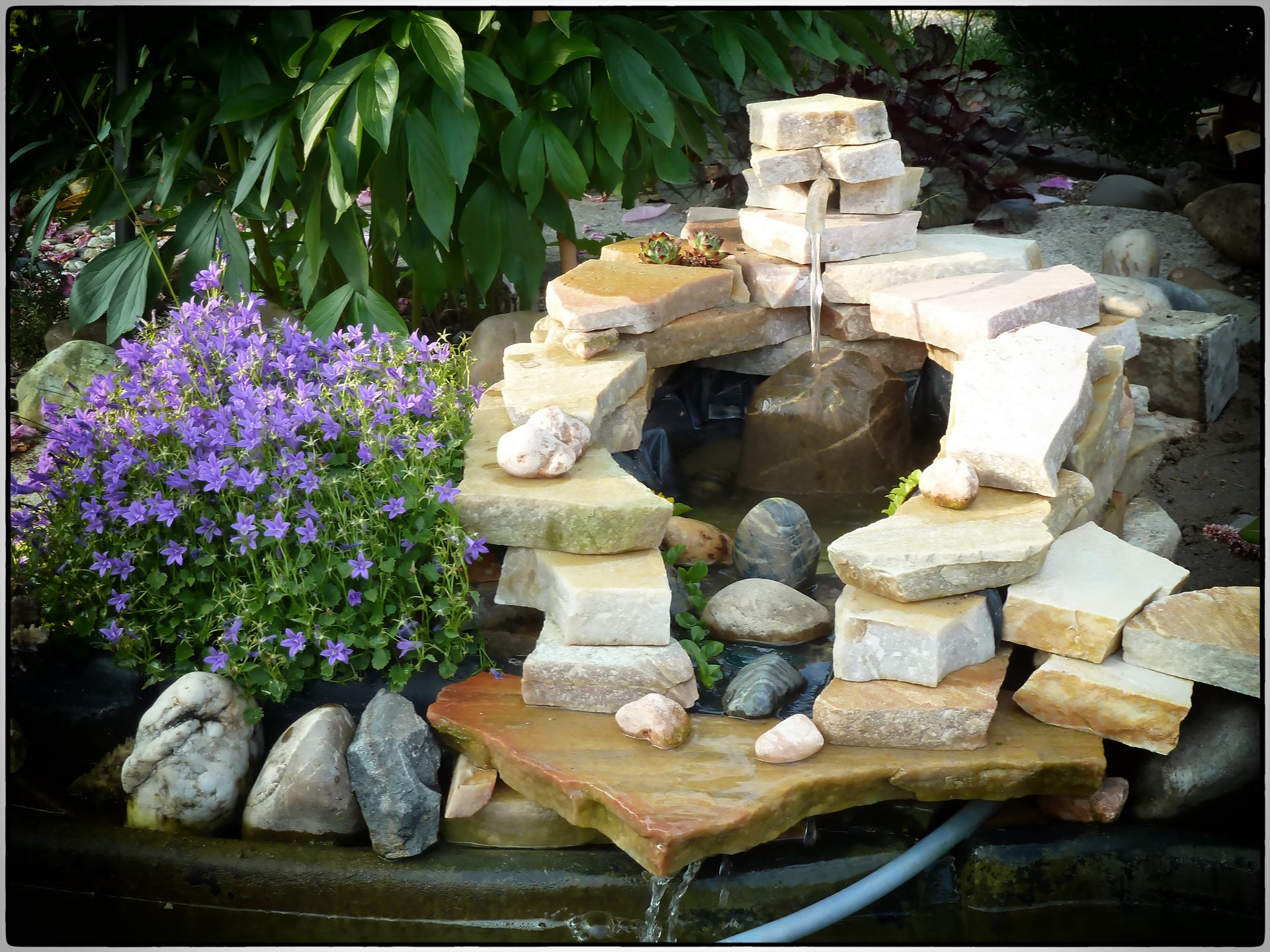 Fontaine de mon jardin