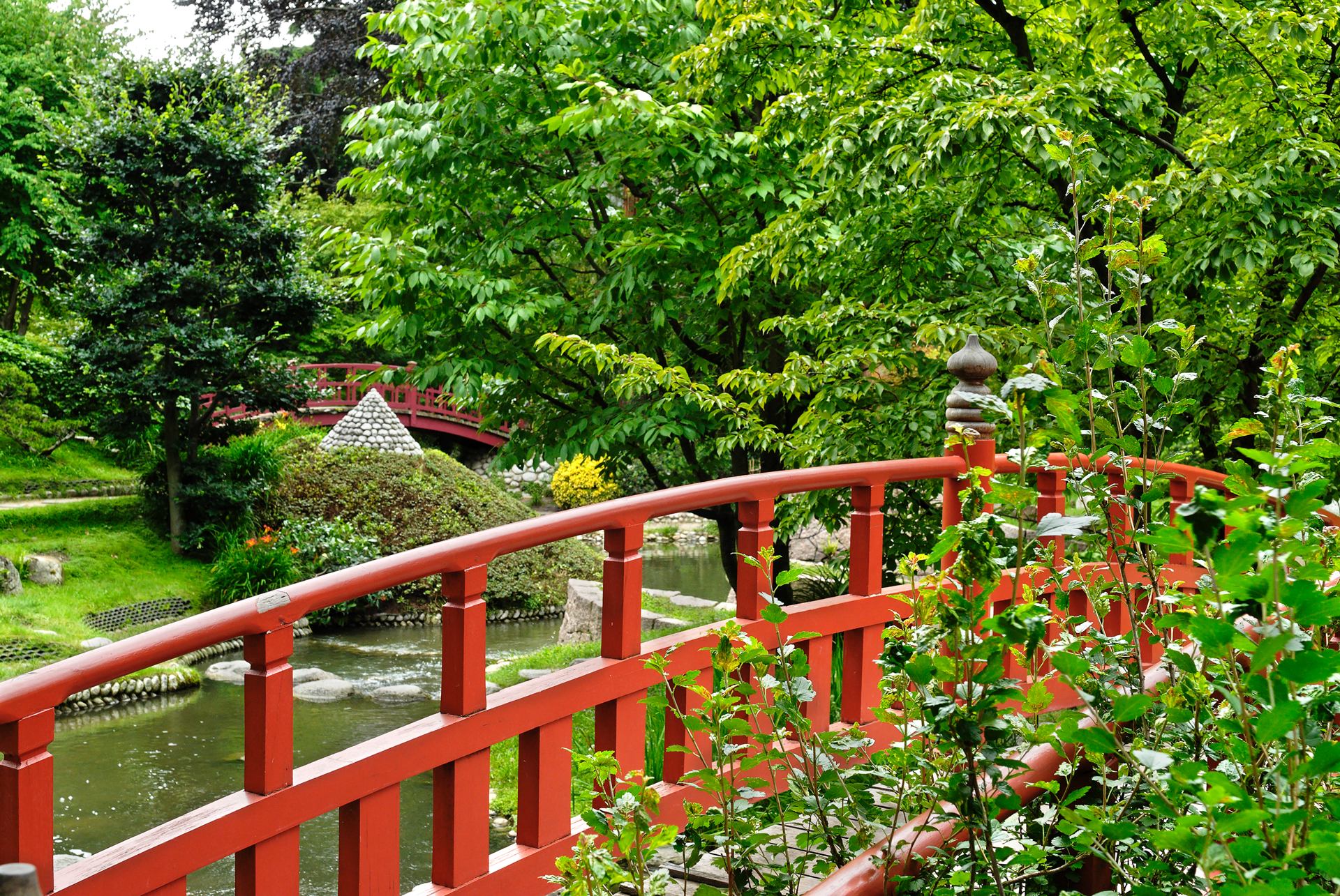 Jardin du musée Albert Kahn_DSC2613DP.jpg