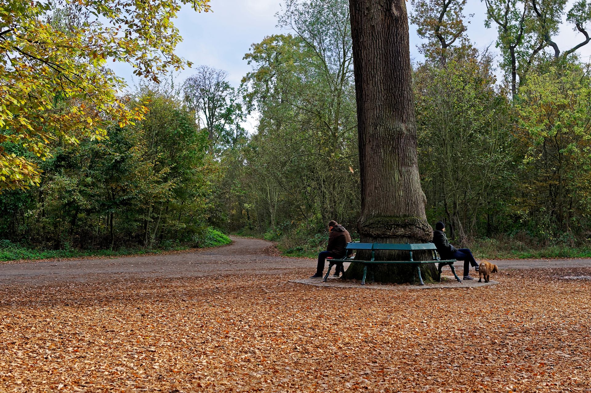 Bois de Vincennes_7029292DP