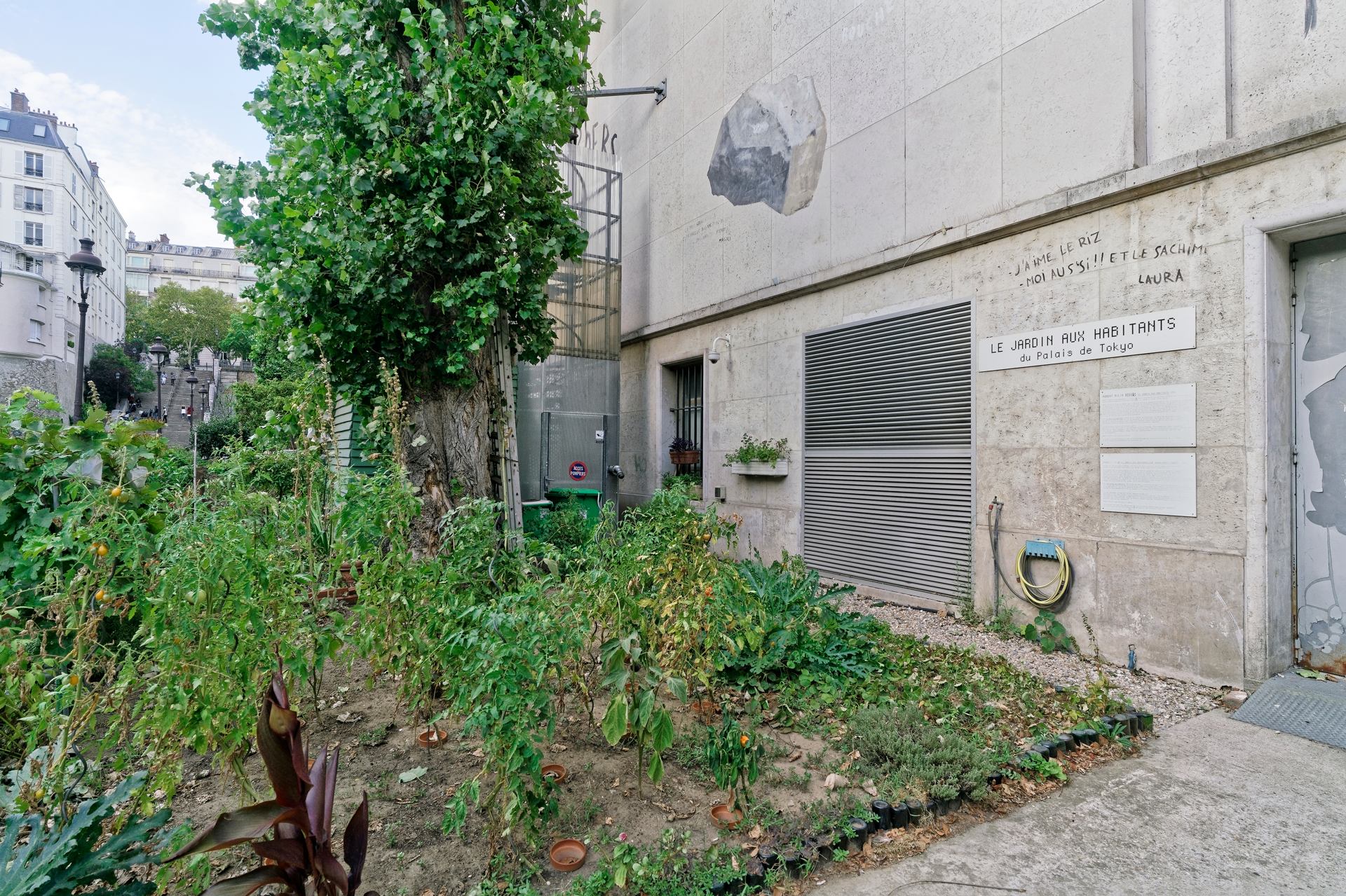 Le jardin aux habitants_A711733D.jpg