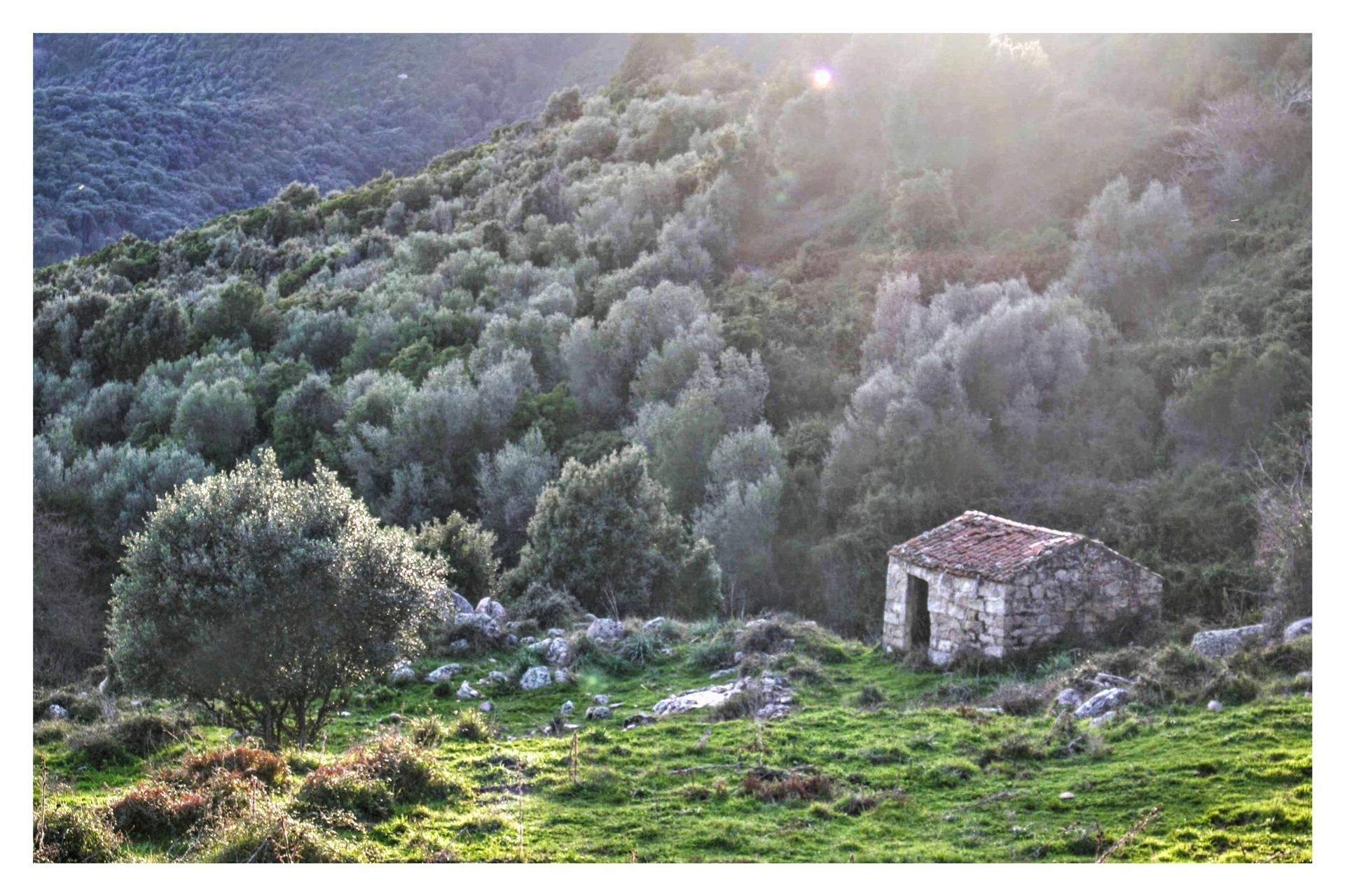 La petite maison dans le maquis