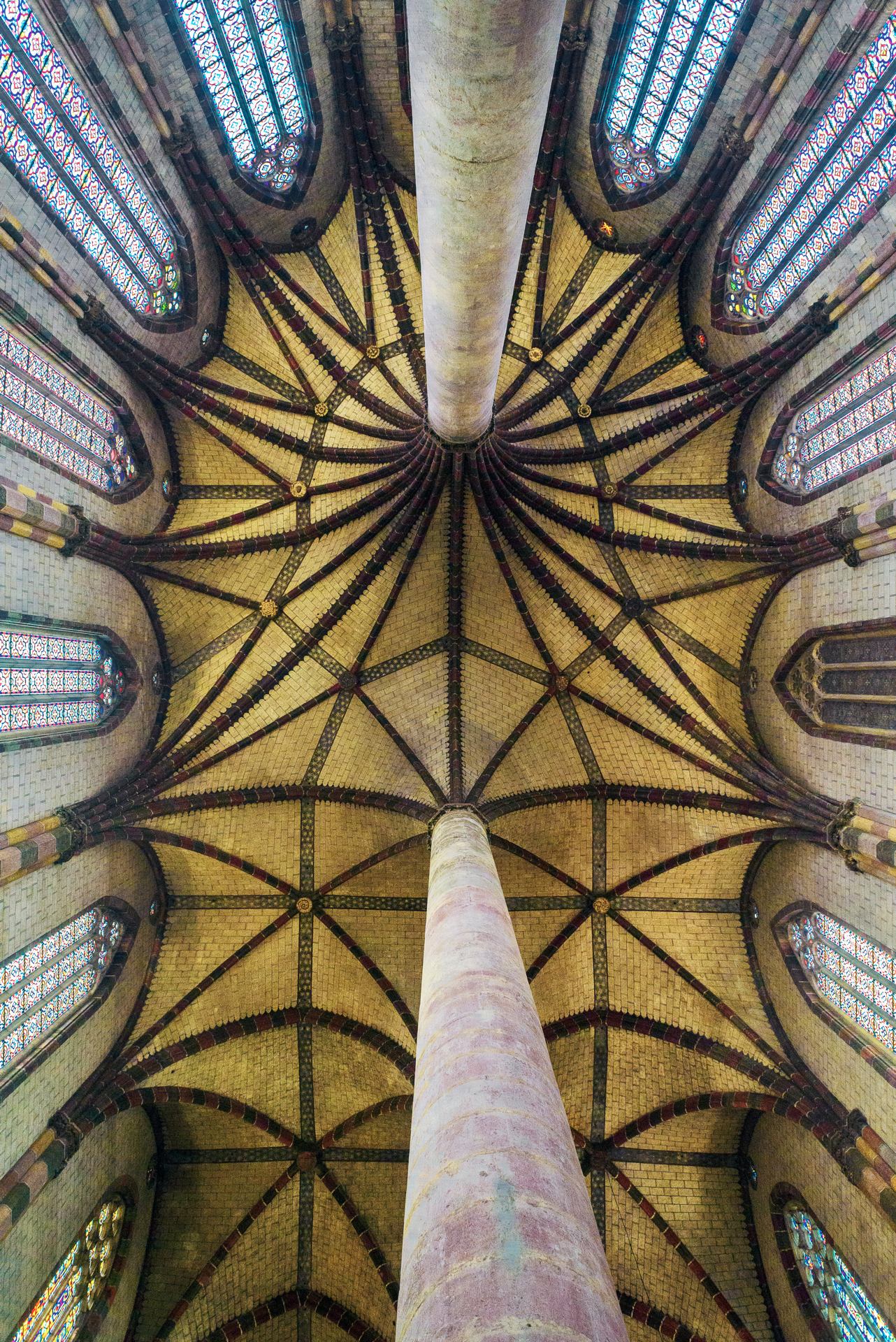 Le palmier de l'église des Jacobins