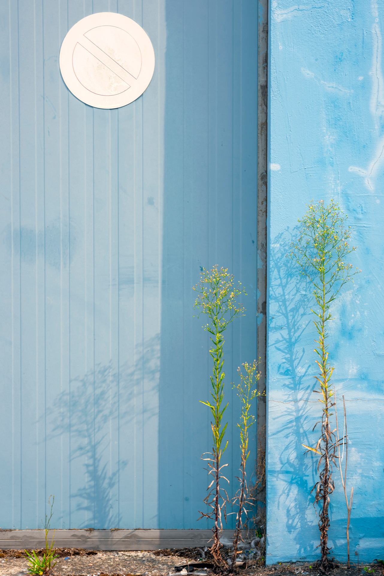 Paysage urbain