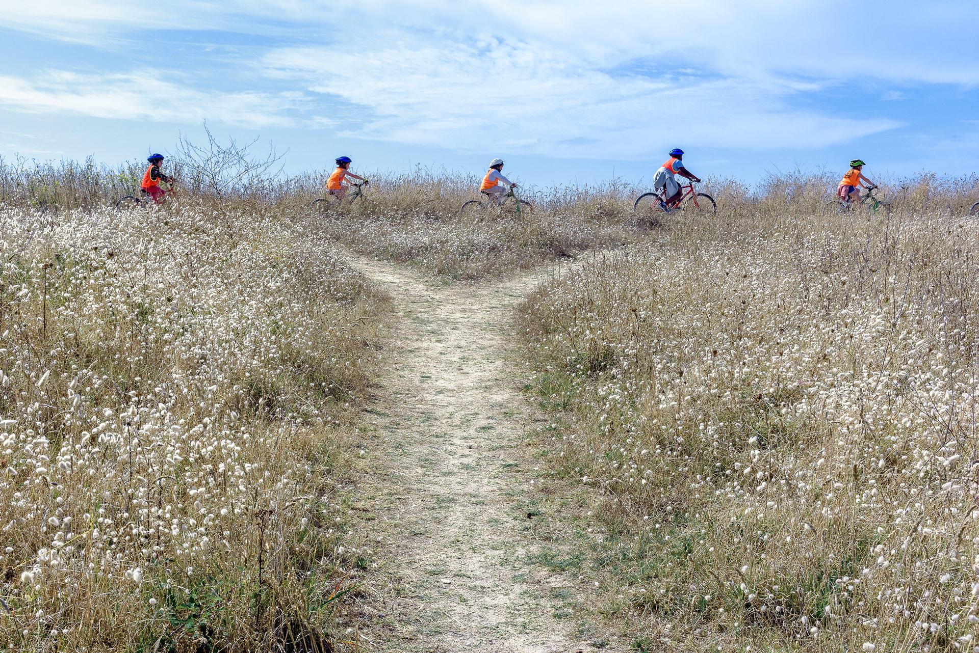 La croisée des chemins
