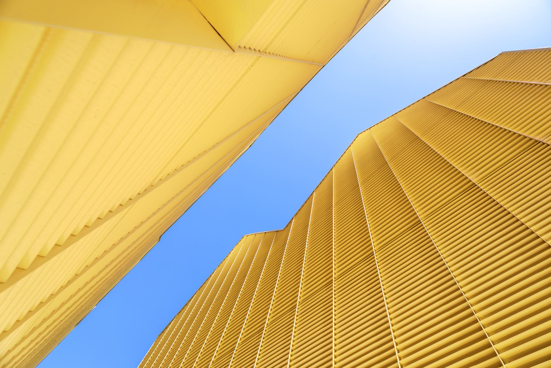 Jaune