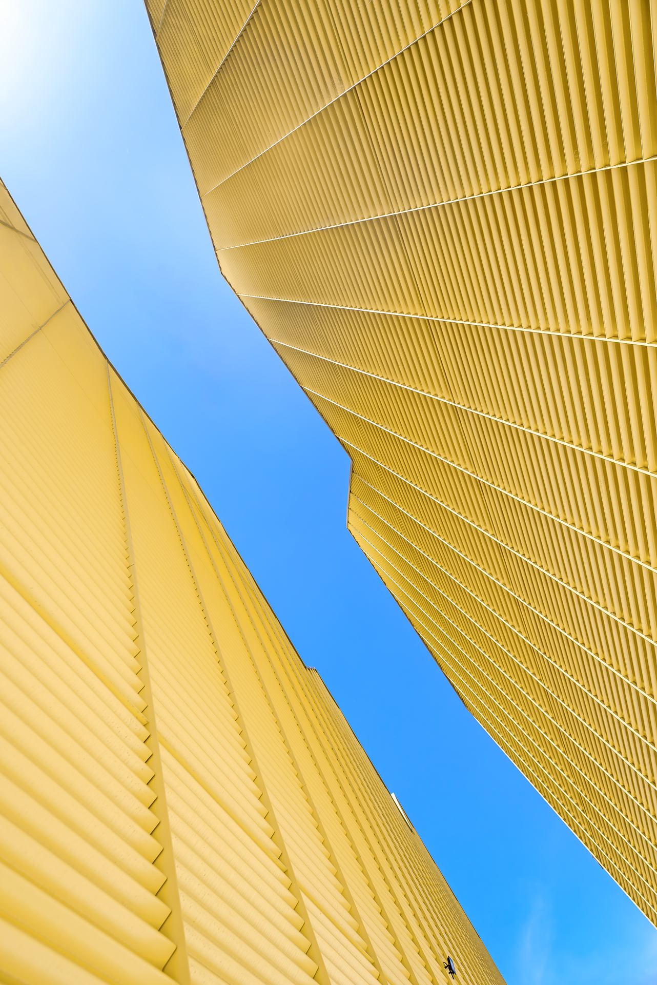 Jaune