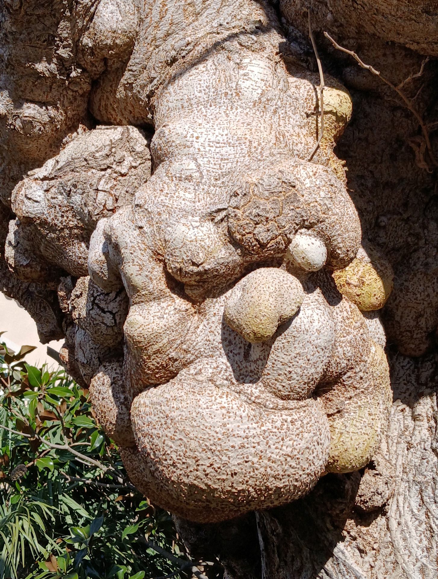 Au Monastère de Poblet ! .jpg