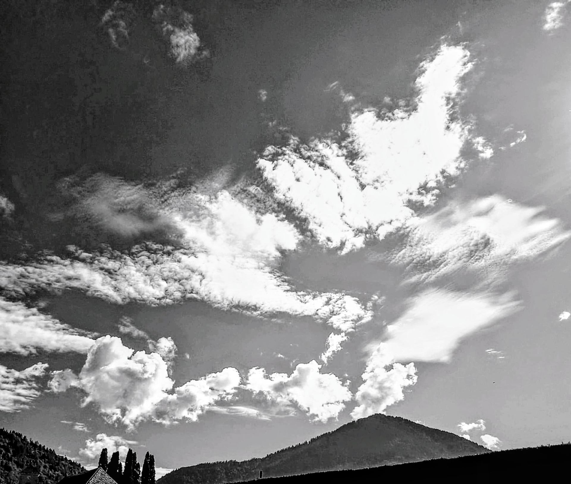 Sur la route du Beaufort ! .jpg