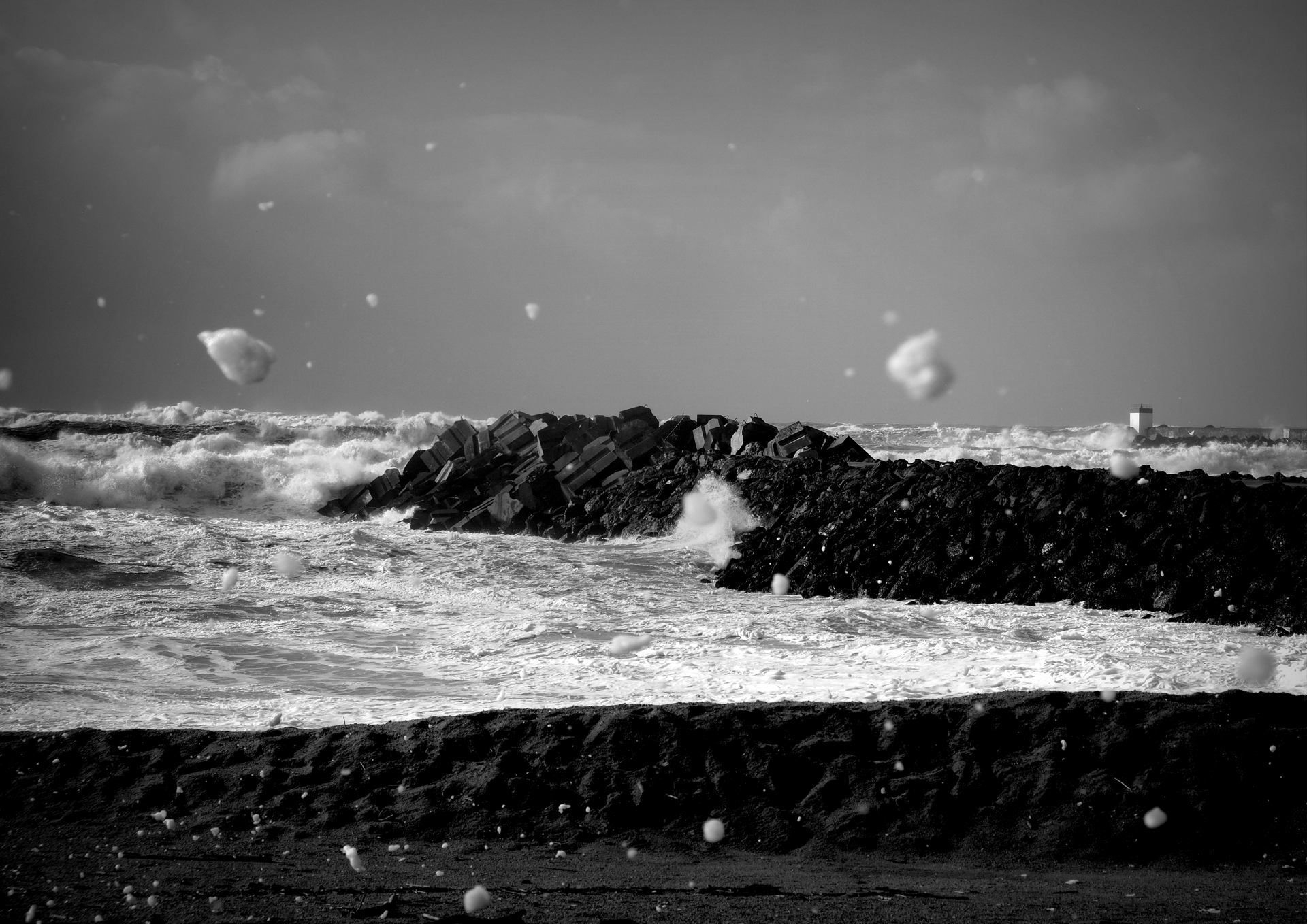 Dans la mousse !.JPG