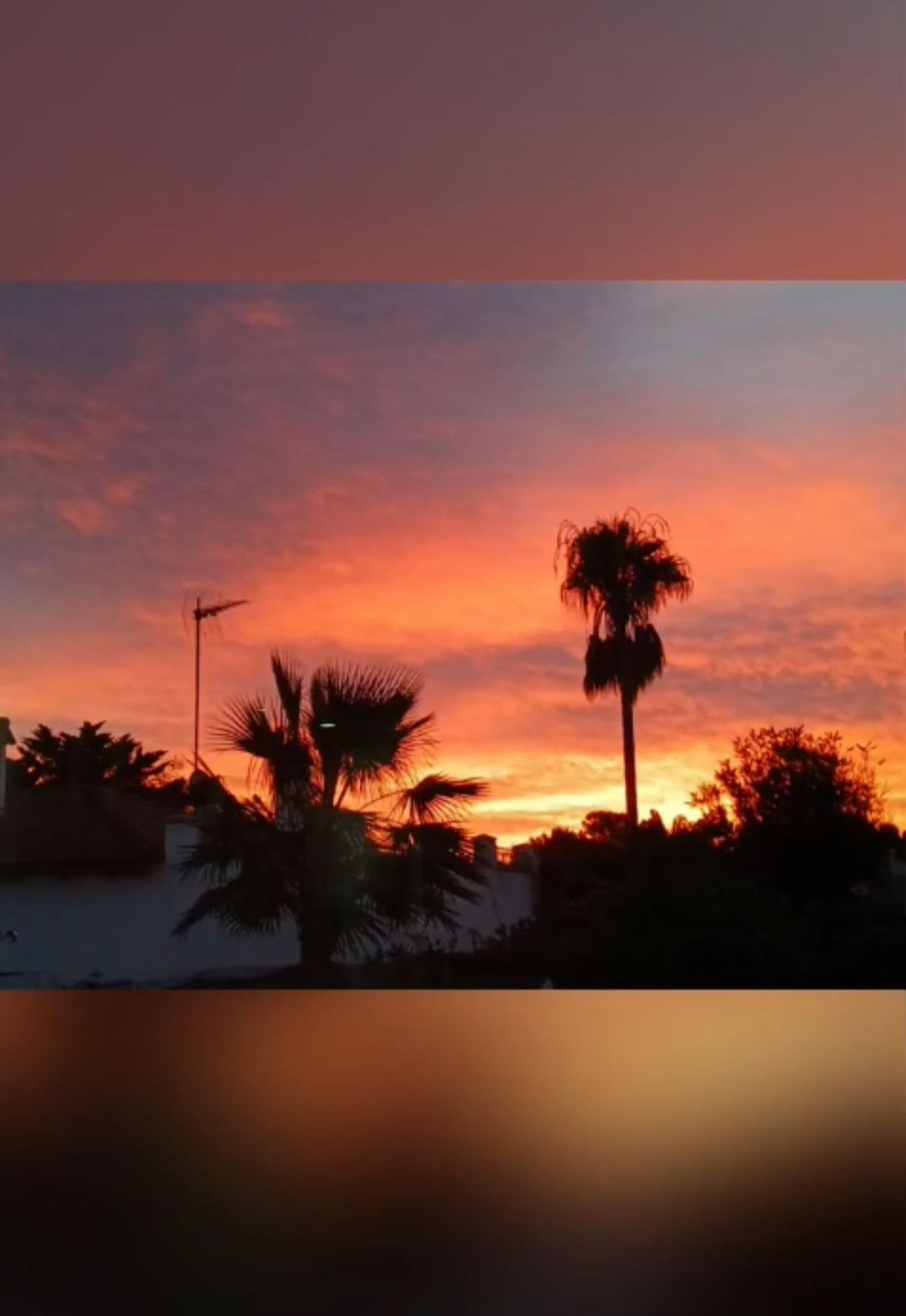 Amettla de Mar ! .jpg