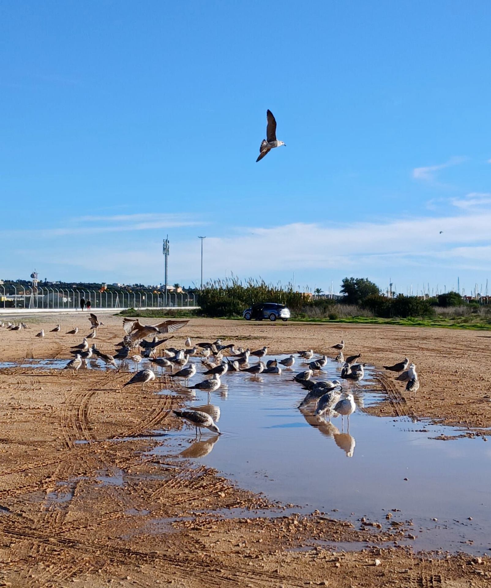 En attente d'atterrissage ! .jpg