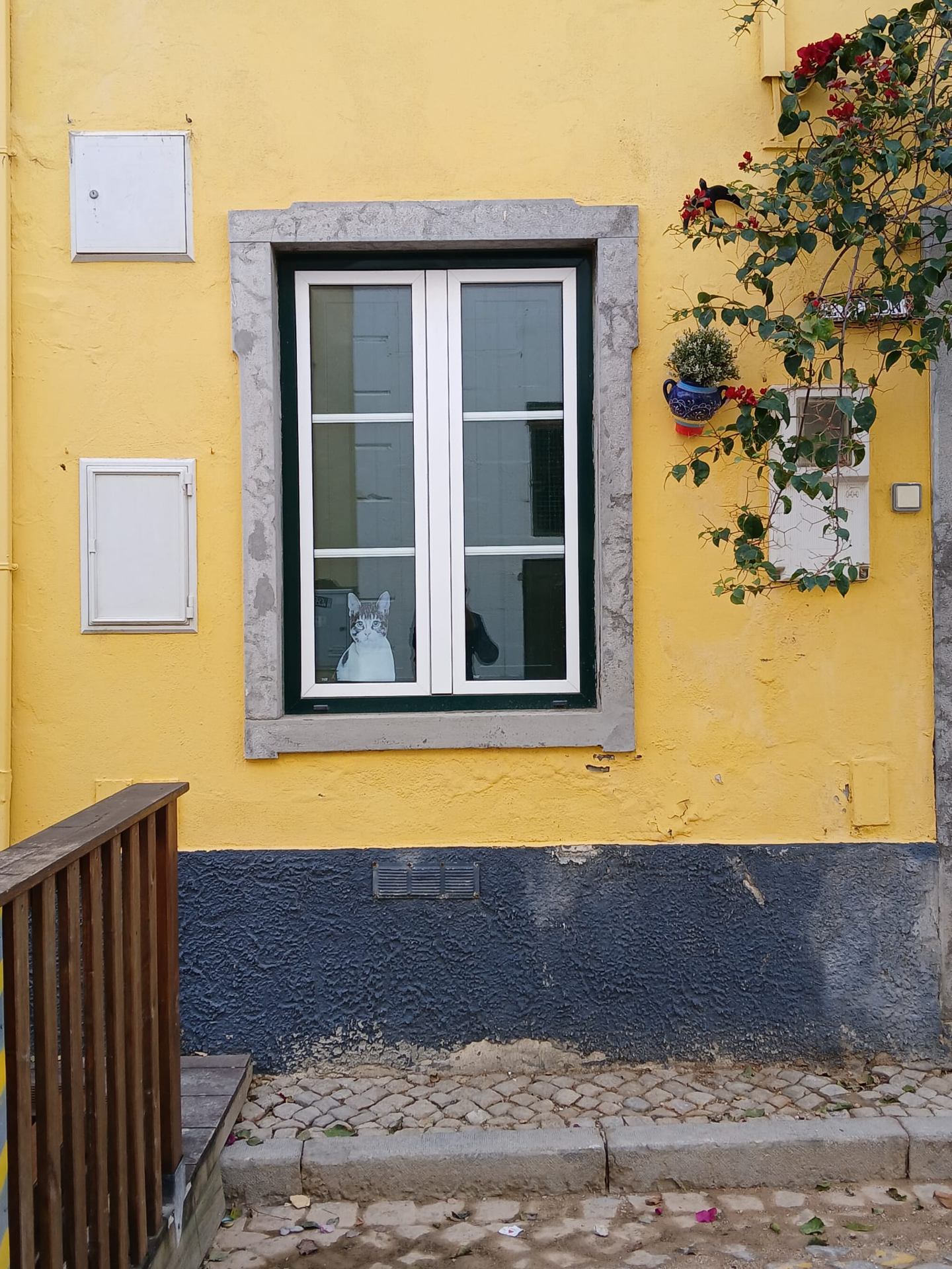 Gardien de la maison jaune !.jpg