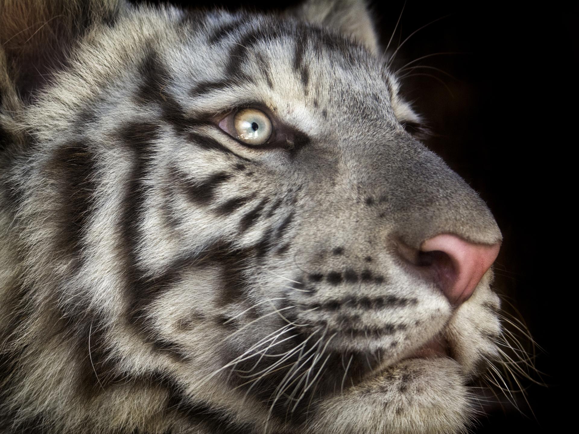 Close up
