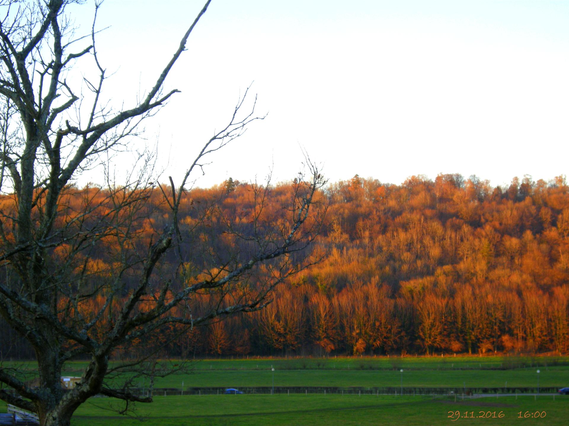 DSCN4509.JPG