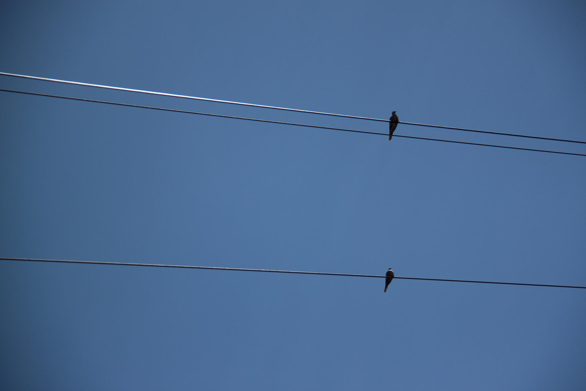 Minimaliste.jpg